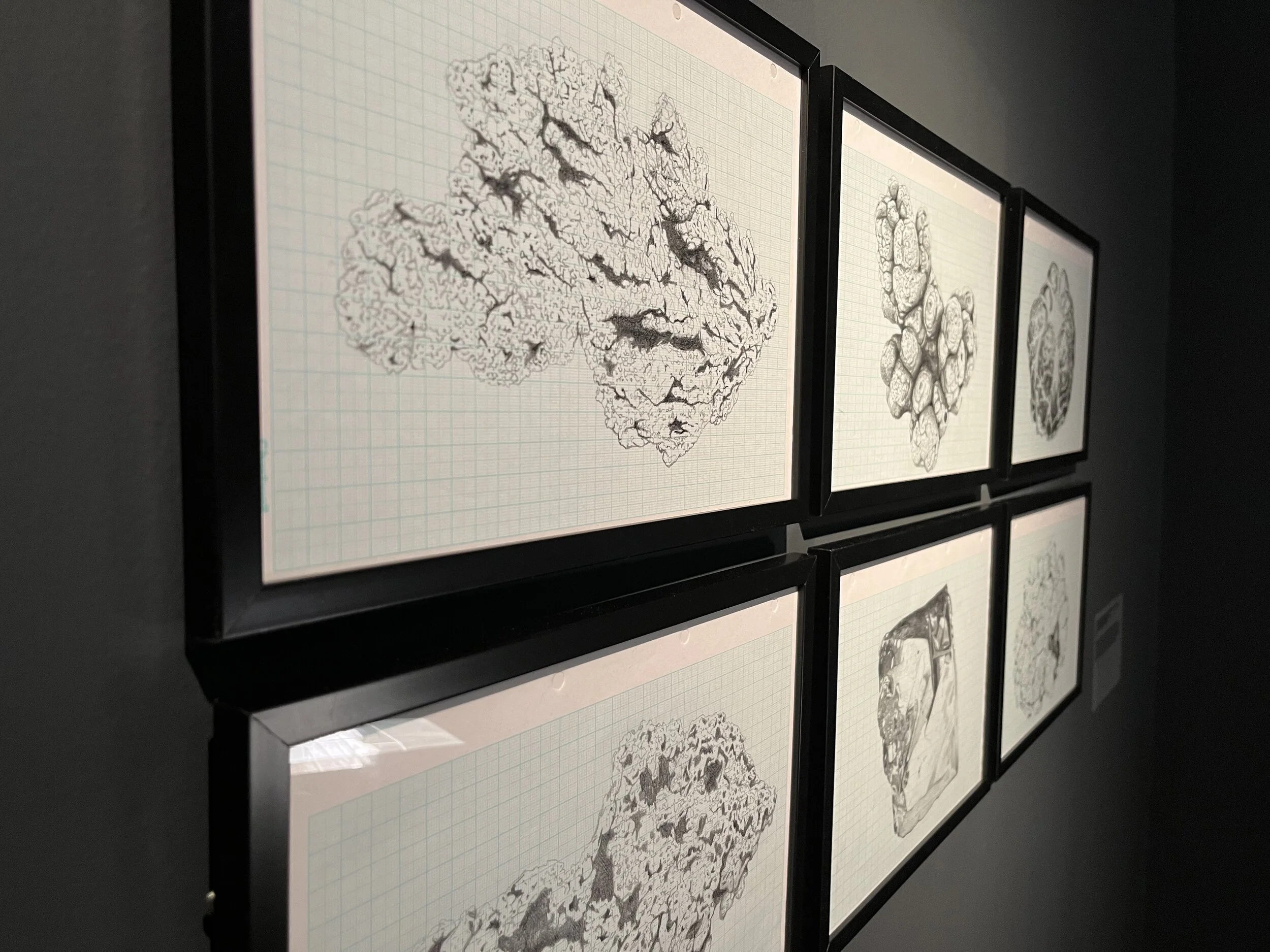 studies for minerals, photograph courtesy of the artist