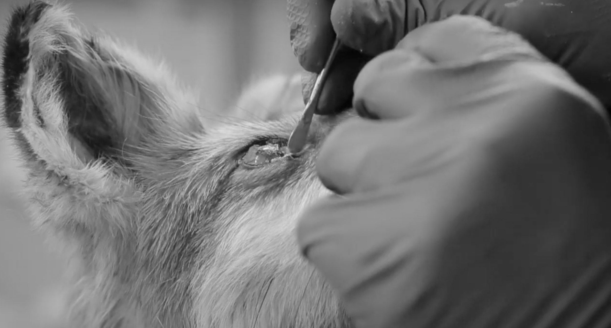 Screenshot 2024-09-18 at 17.04.44.png