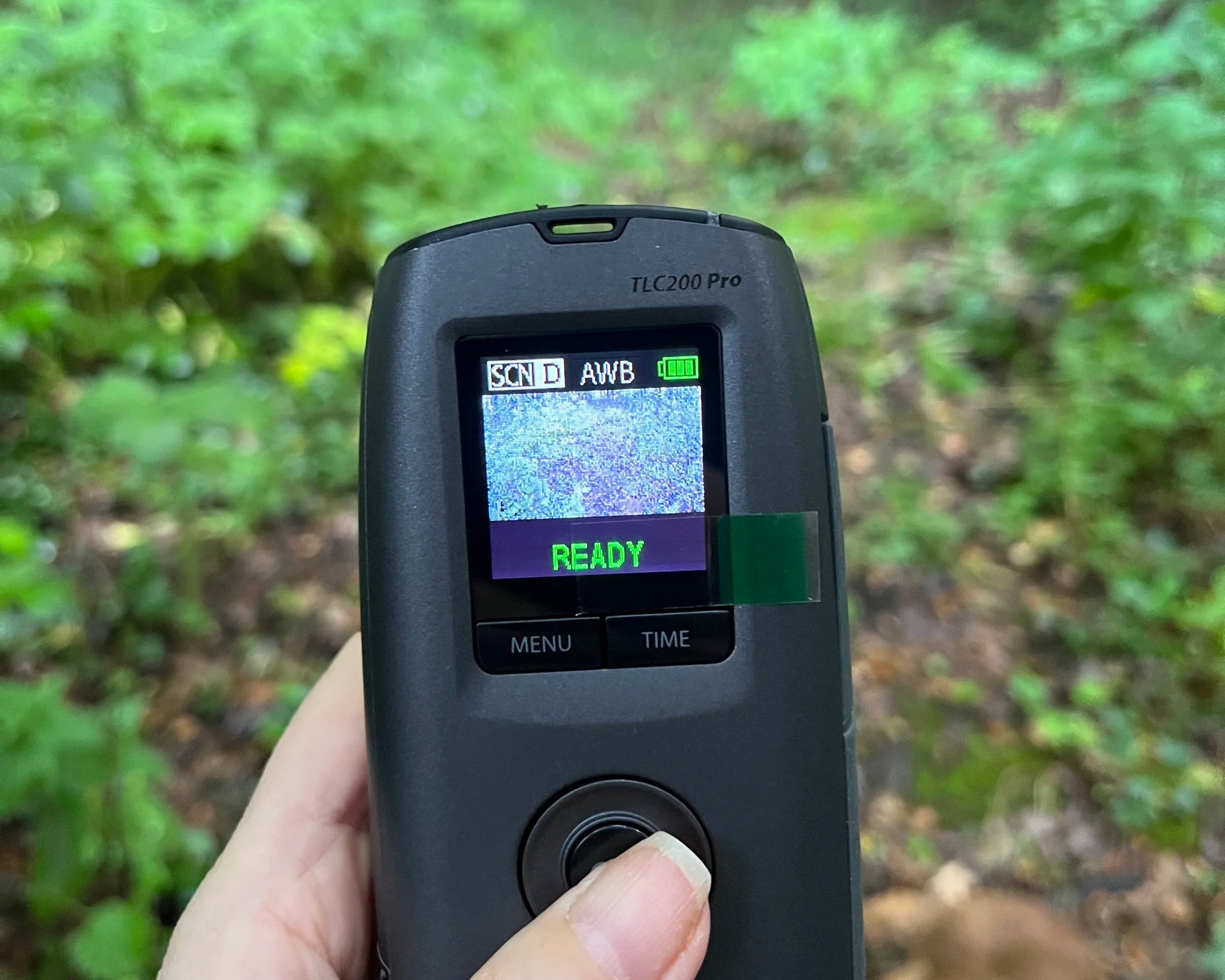 of ephemeral measure