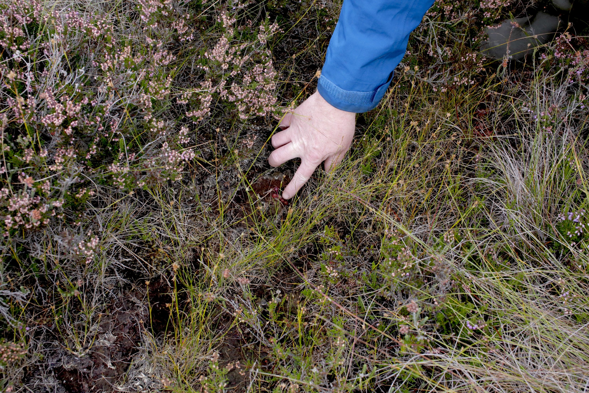 Walkshop_Martina O'Brien_IPCC_19th of August_2022.JPG