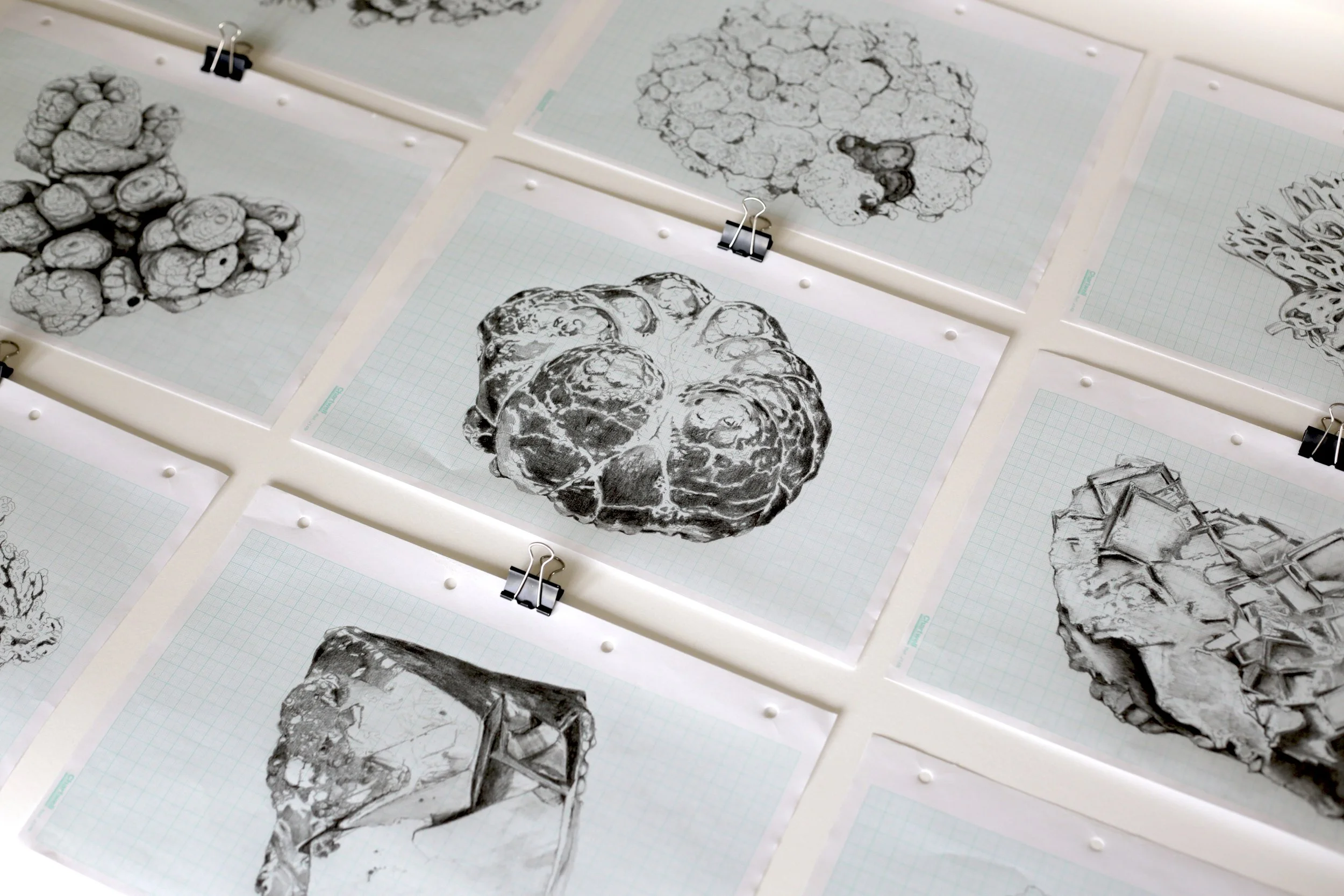 studies for minerals, photograph courtesy of the artist