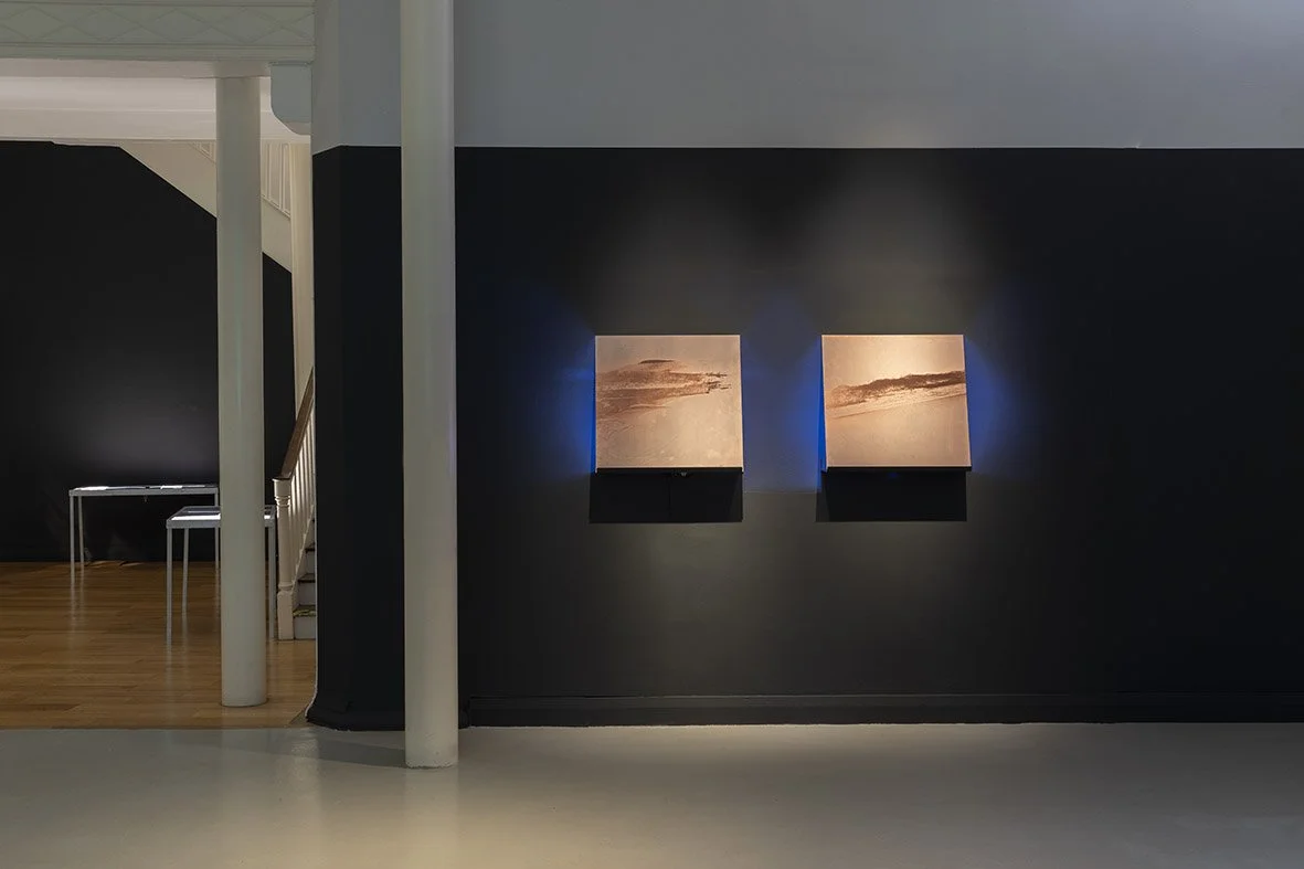 Midnight Zone, Highlanes Municipal Gallery, installation view courtesy of Eugene Langan, 2023
