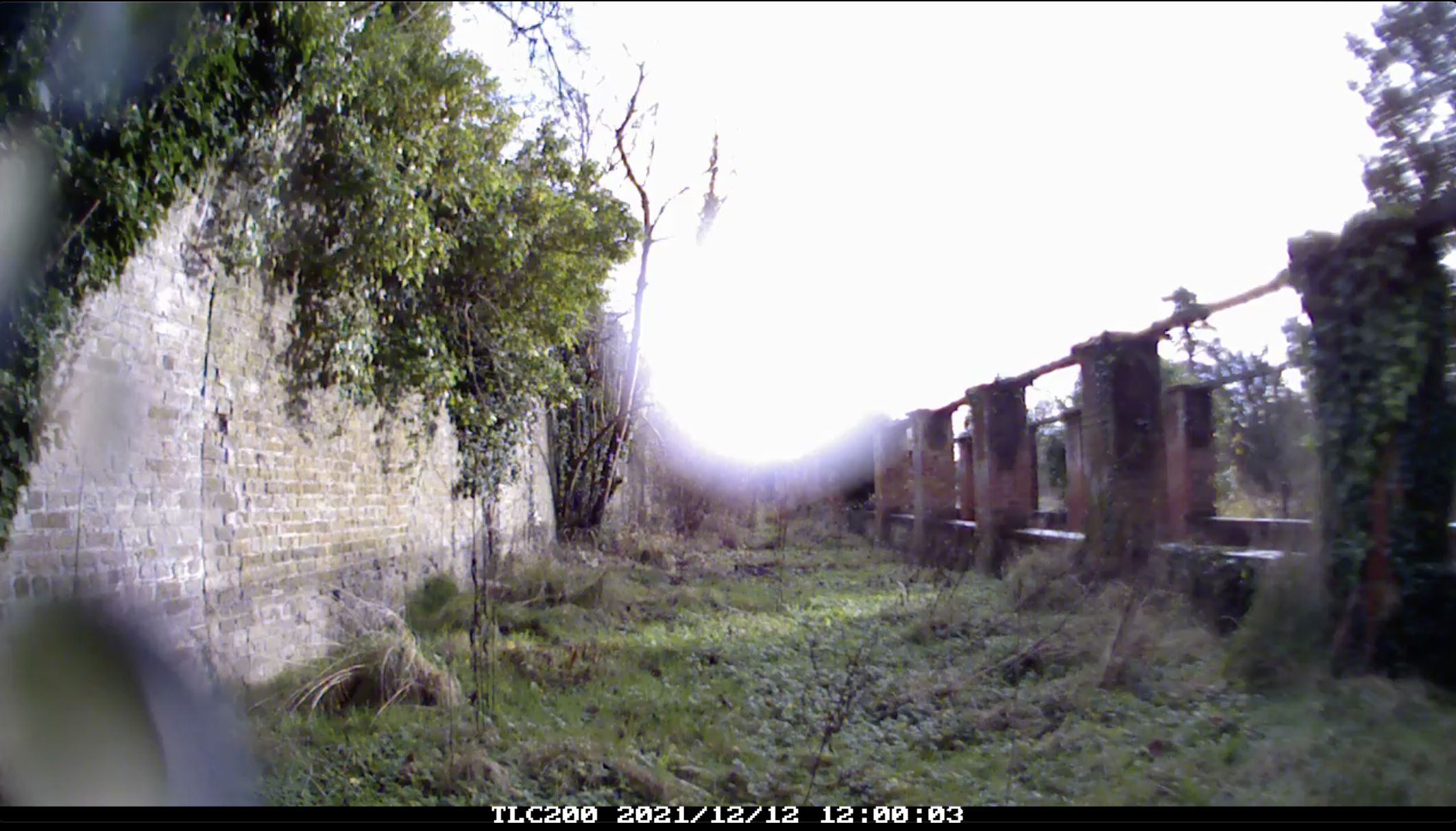 Site Eight