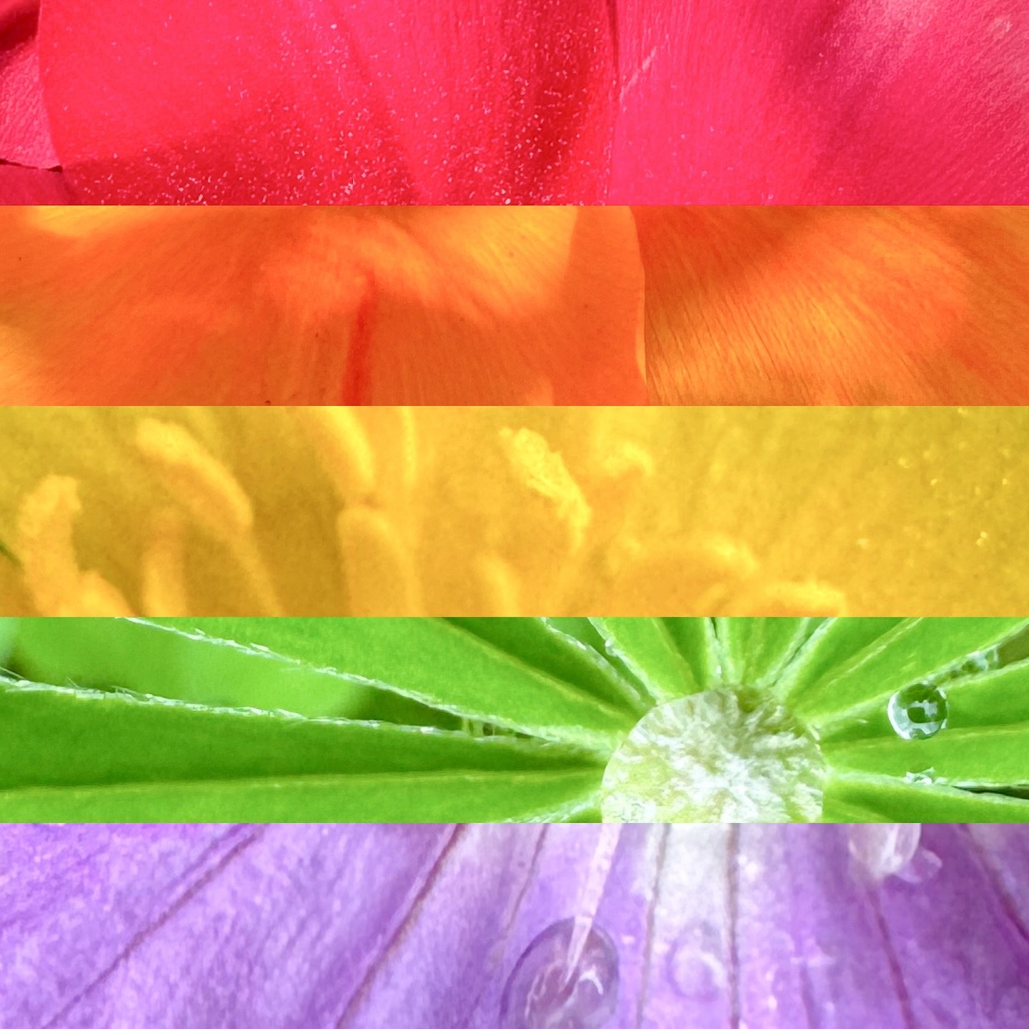 Happy Pride week 🏳️&zwj;🌈🏳️&zwj;⚧️

🌈 T&auml;n&auml; vuonna Helsinki Pride -yhteis&ouml; nostaa esiin erityisesti sateenkaarevat siirtolaiset ja sit&auml; juhlistetaan teemalla Ylpeys ei tunne rajoja. Jokaisella on oikeus vapauteen, ylpeyteen ja 