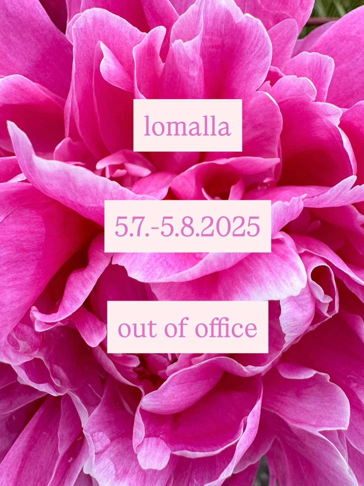 ✨maailma valmiiksi ennen kesälomaa?✨
Voin tässä heti alkuun paljastaa, että loma alkoi, mutta maailma ei tälläkään kerralla tullut valmiiksi. Hoitelen siis vielä viimeisiä sovittuja asioita töid