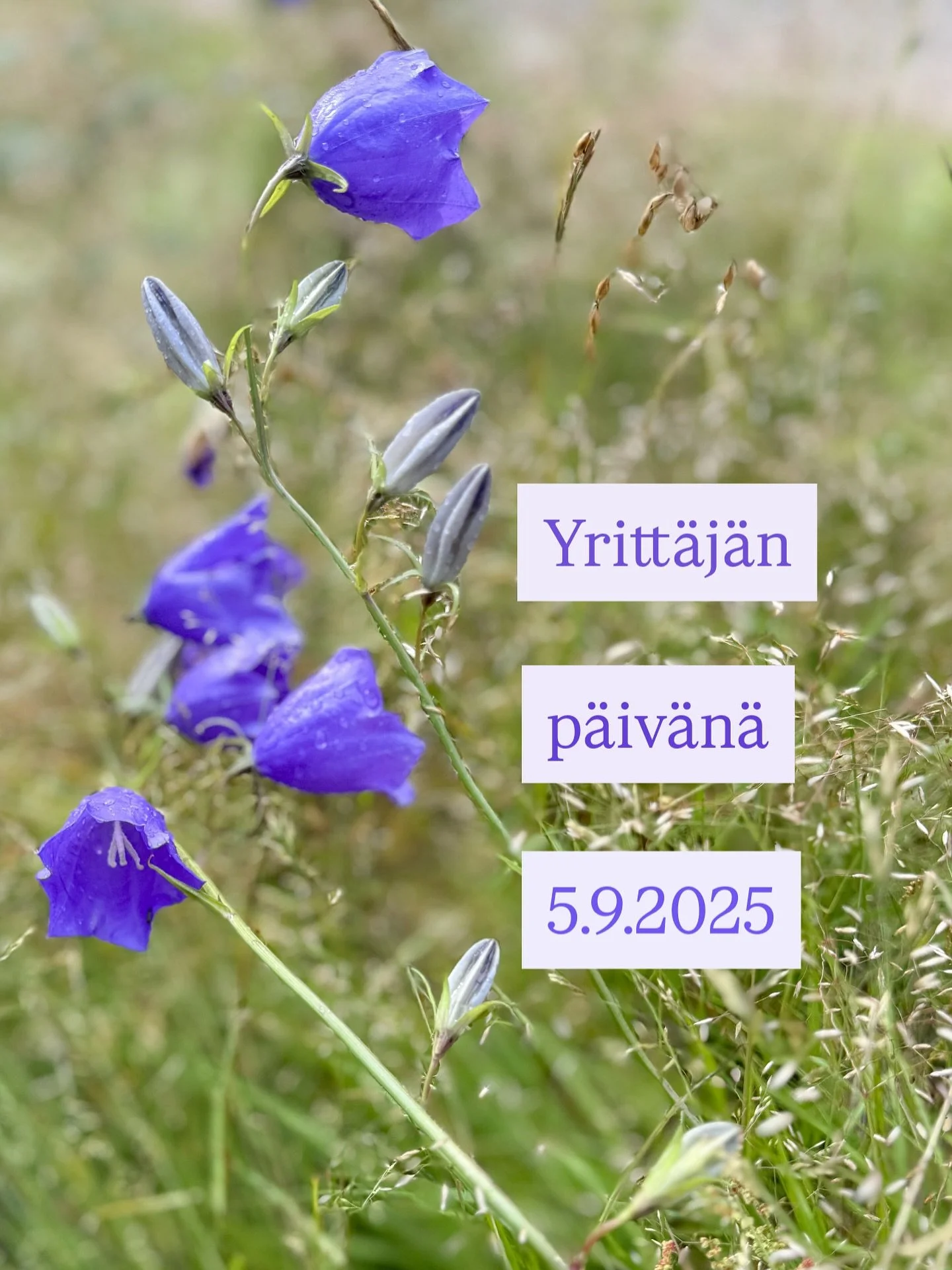 ✨yrittäjän päivänä 5.9.2025✨
Eilen vietin kolmatta Yrittäjän päivää täysipäiväisenä yrittäjänä. Jotenkin oletin, että tähän mennessä minulla oli