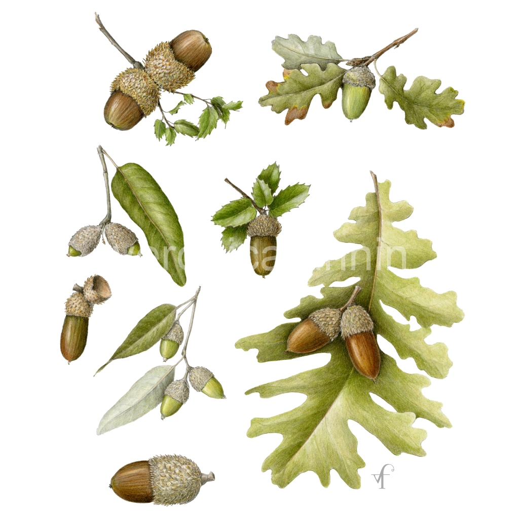 image_original_82cf61ab36f933665e5742d1e582f972.png