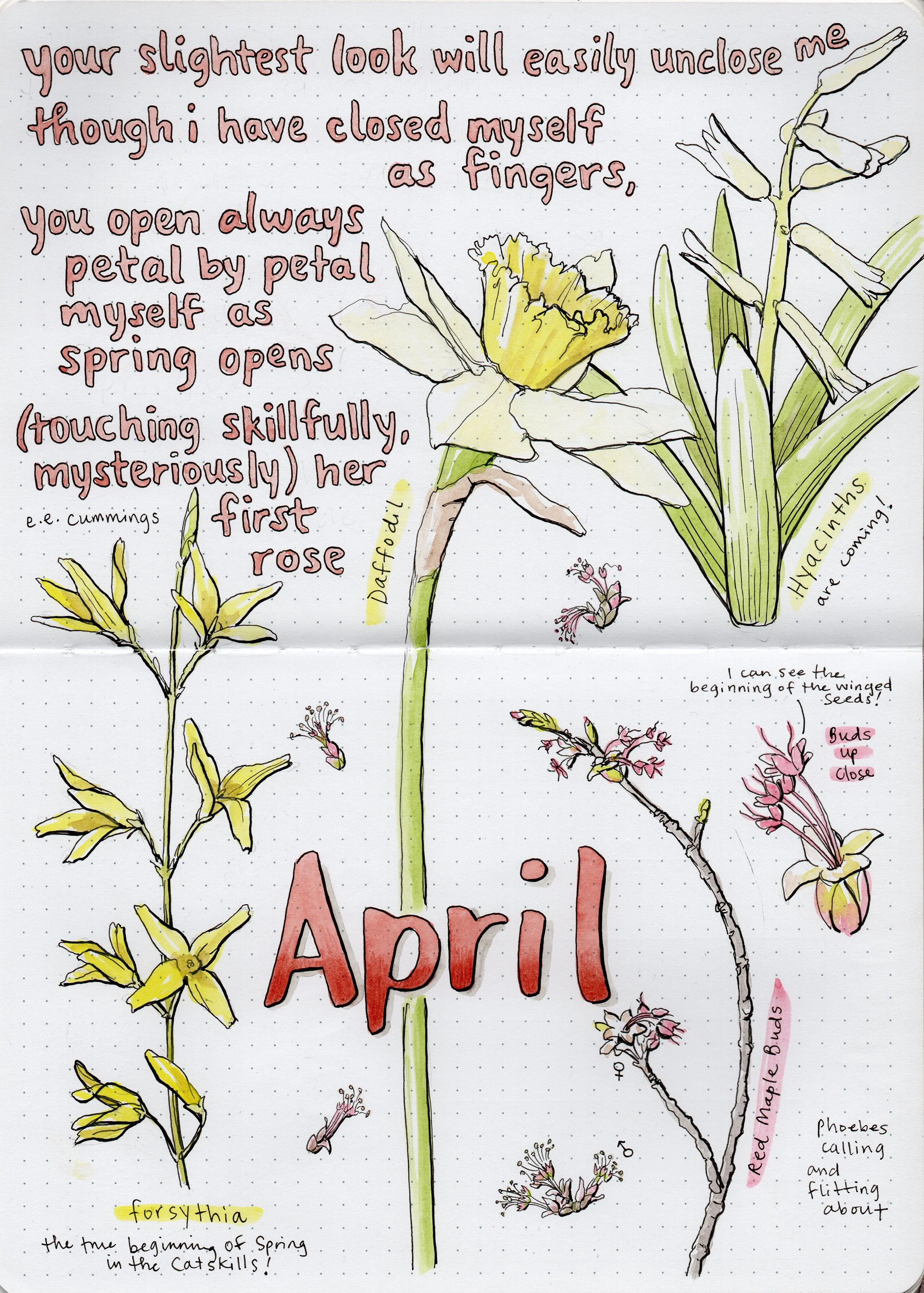 Sketchbook of the Seasons 2026