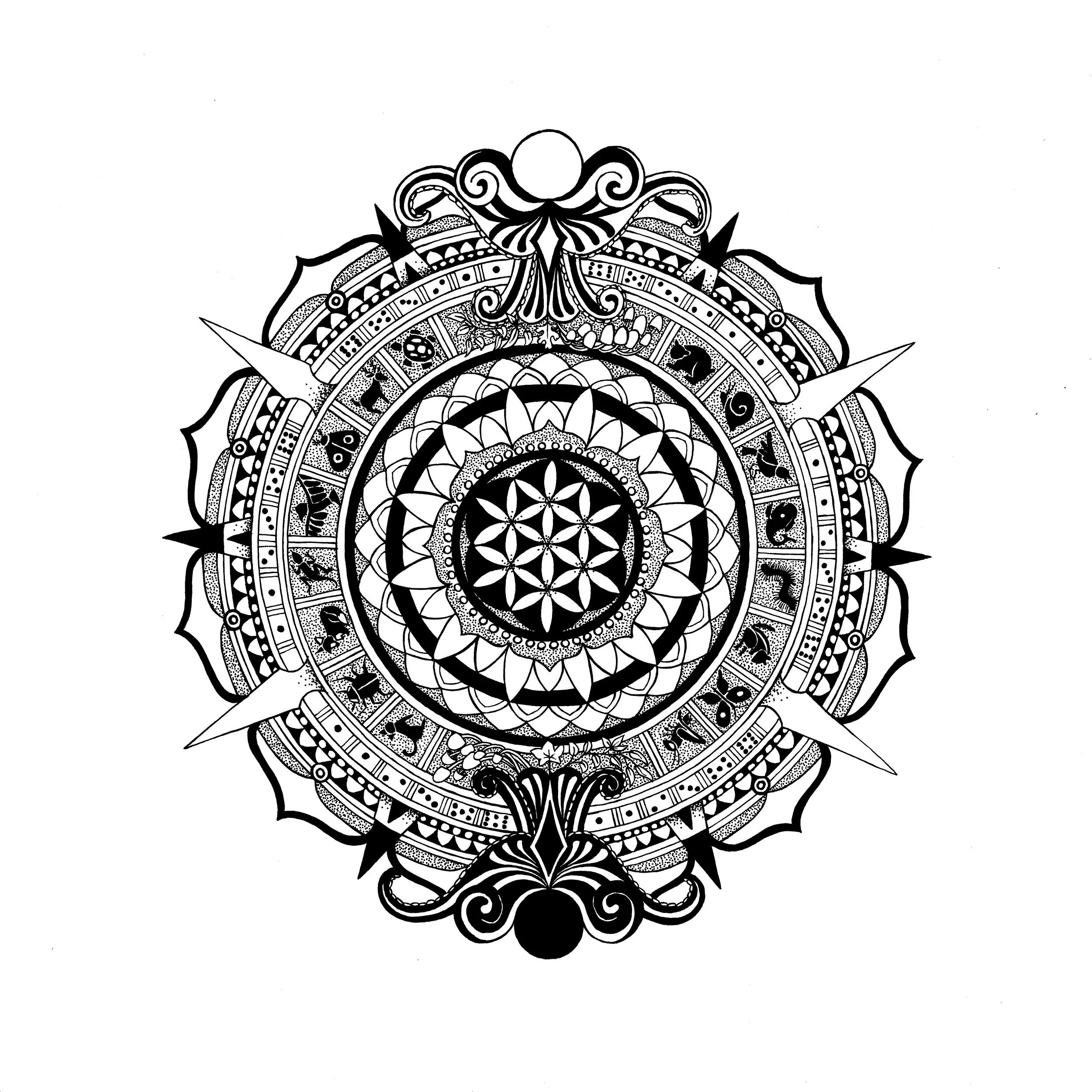 Peculiar Mandala