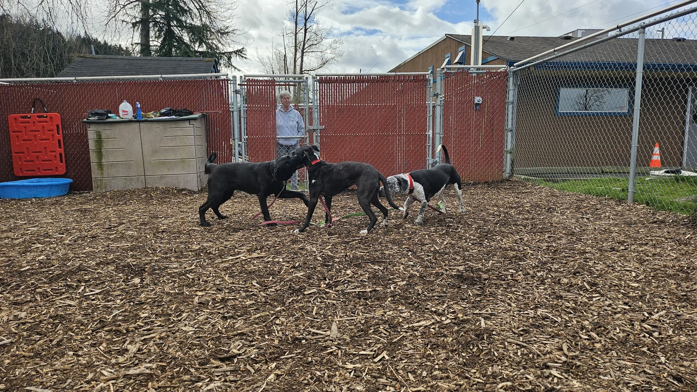 How to: Setting up a Playgroup Program