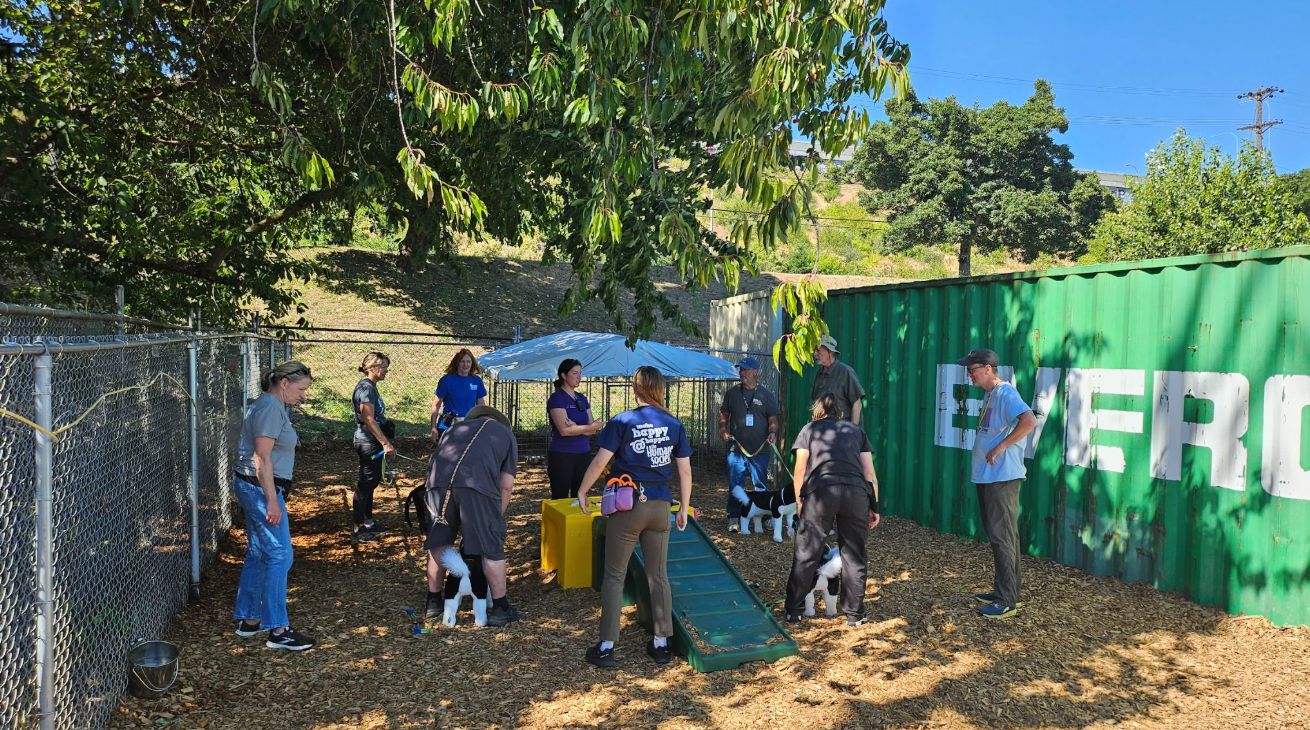 Volunteer Behavior Teams: In Practice