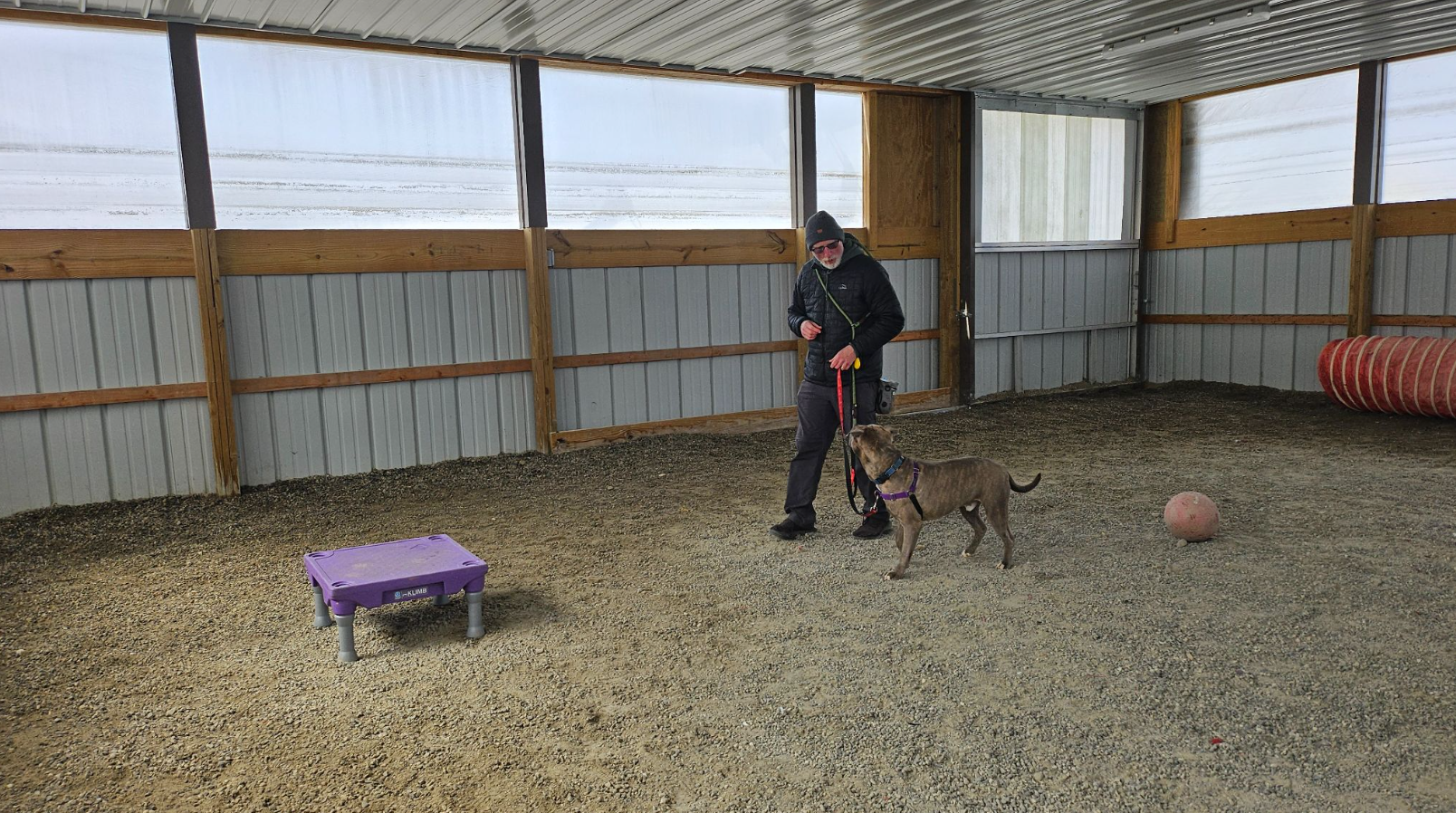 Positive Reinforcement in Animal Shelters