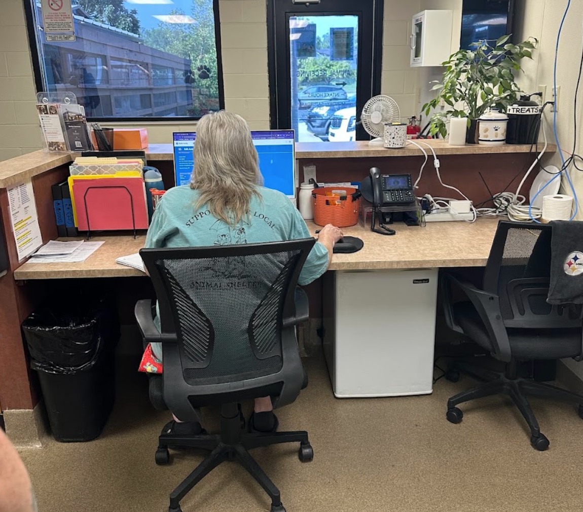 Three Remote Support Options for Animal Shelters