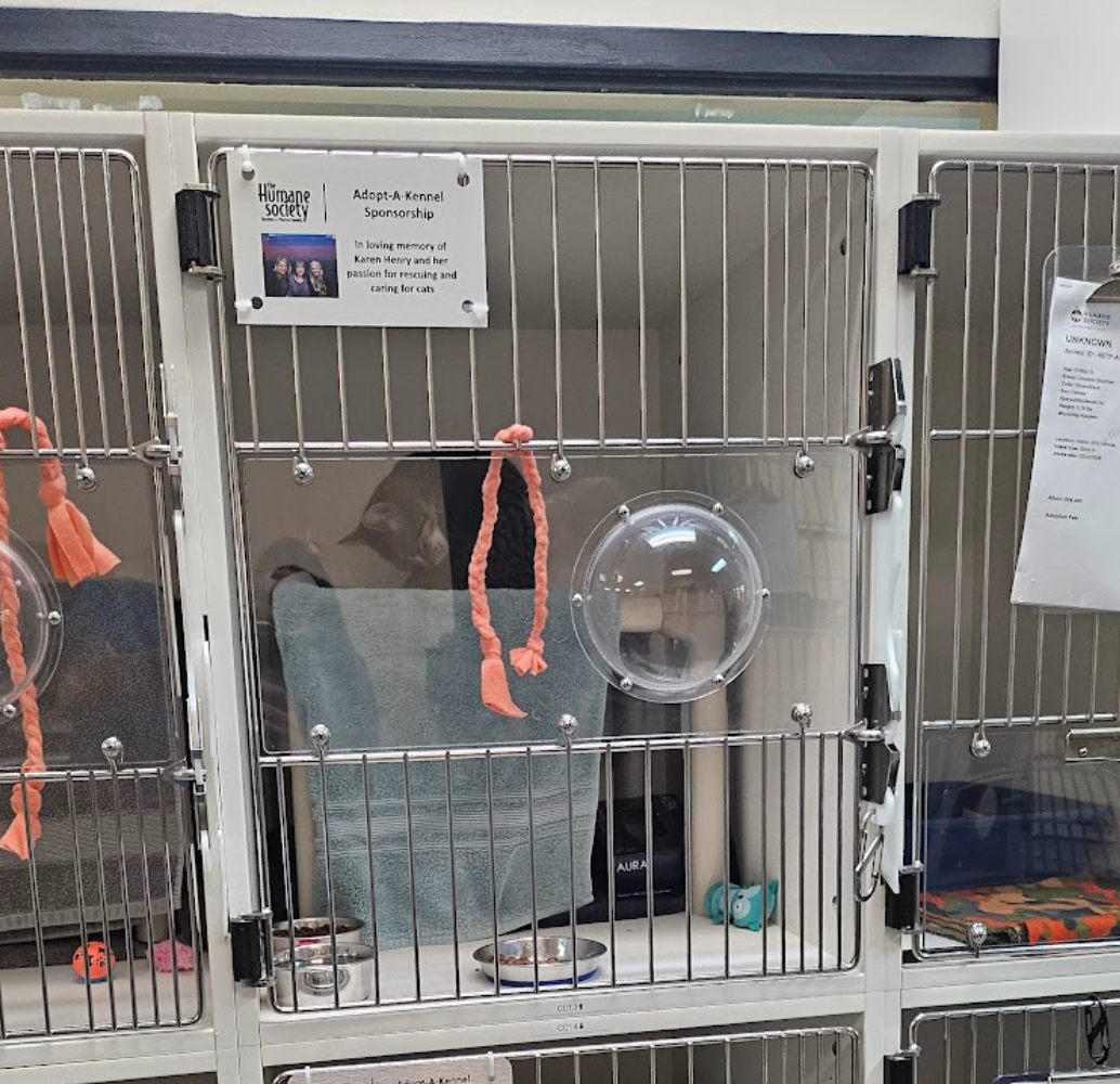 A cat enclosure featuring a small window, a raised platform with a covered bottom section, food and water bowls, and a litter box area in a separate compartment to the right.
