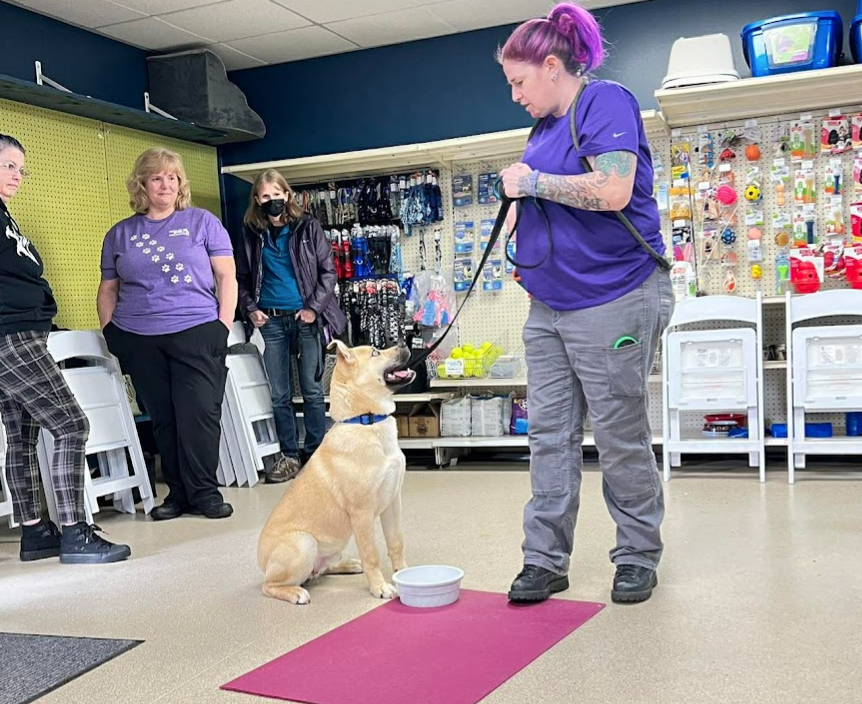 Laurie Lawless stands beside a tan, on-leash dog. The dog sits beside a small, pink mat and a bowl, and it looks attentively up at Laurie.