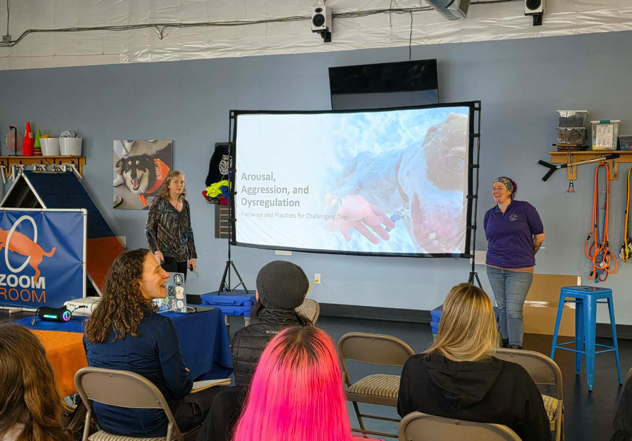Laurie Lawless and Trish McMillan stand at the front of the room on either side of a large projector screen, giving a presentation to shelter staff.
