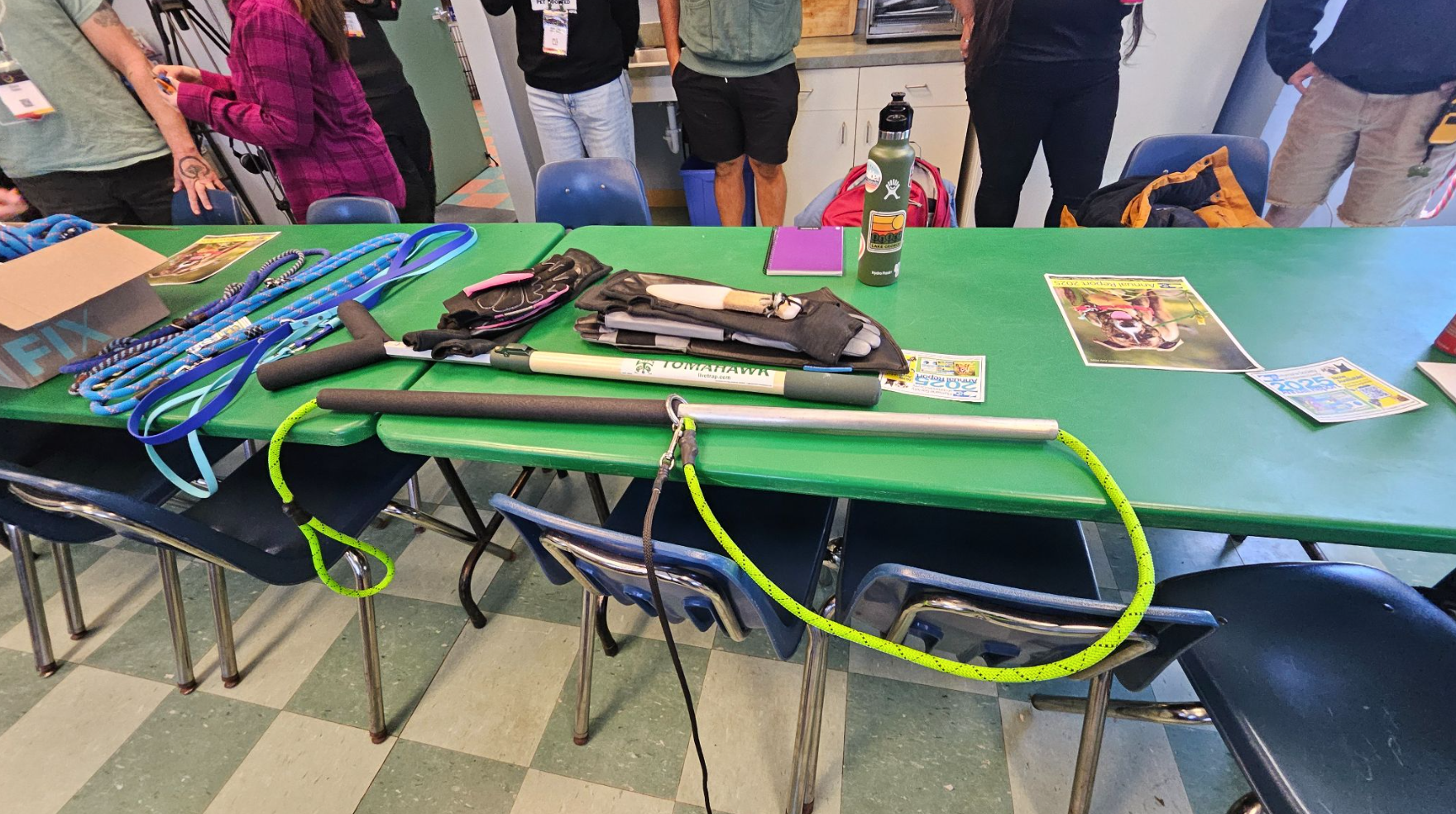 A long, green table laid out with various dog safety tools.