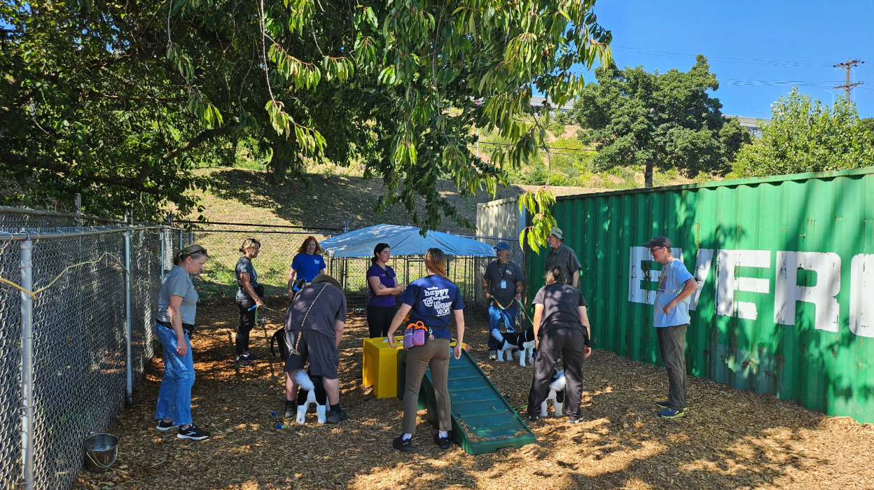 A group of shelter volunteers and staff stand in a playgroup area with two stuffed practice dogs.