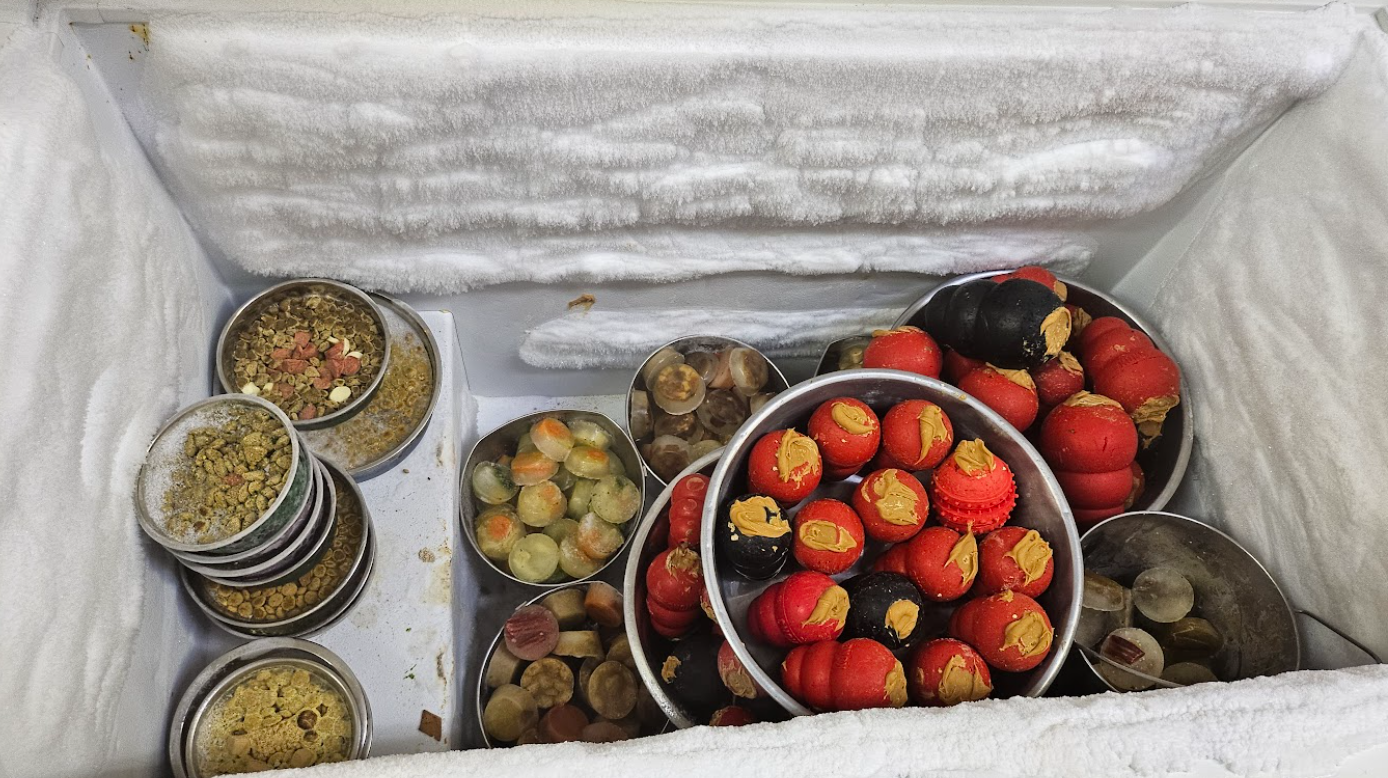 A variety of frozen treats sit in a deep freezer.