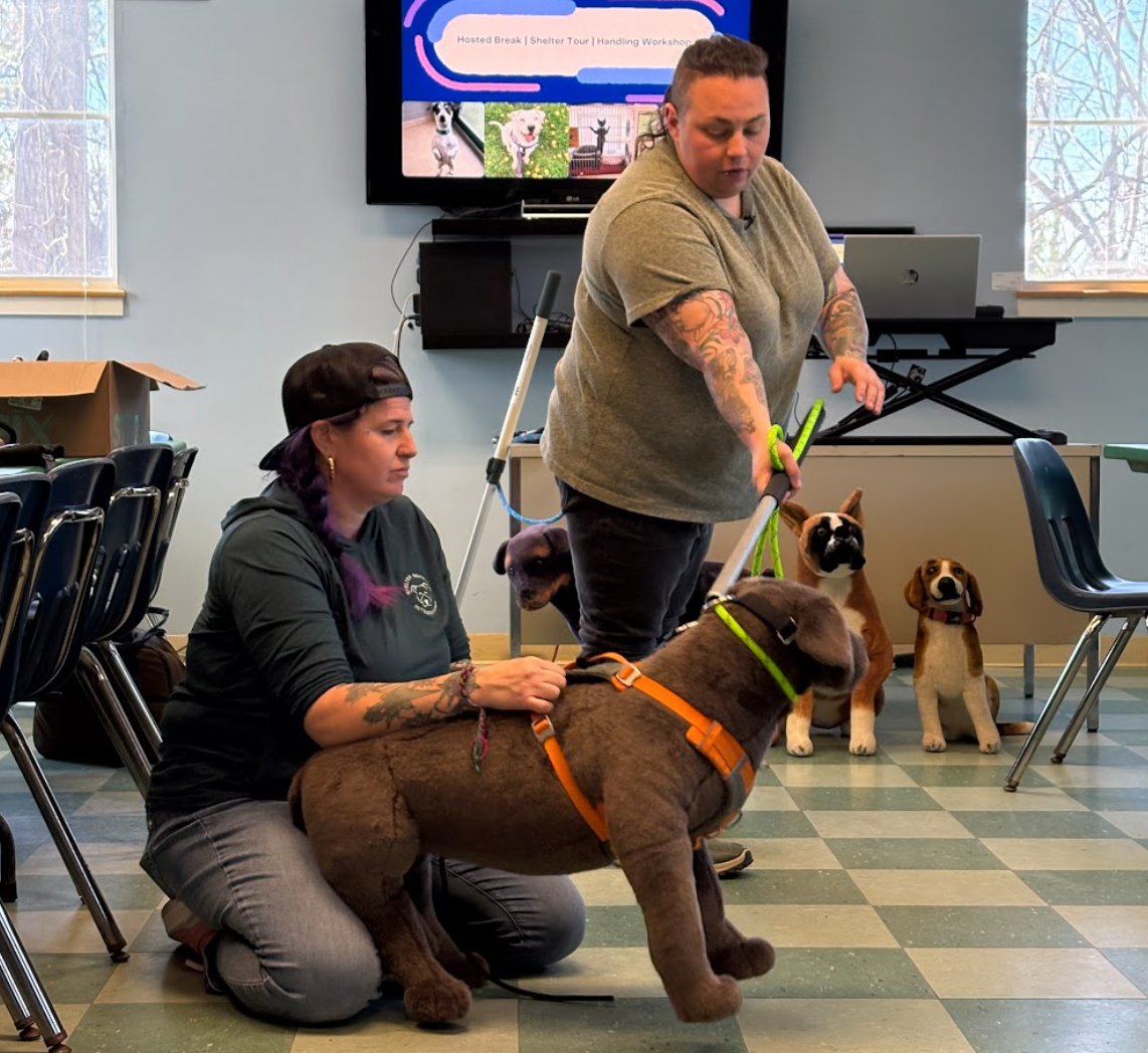 Laurie Lawless demonstrates safe dog handling with another shelter professional. The pair demonstrate on a large, stuffed model dog.
