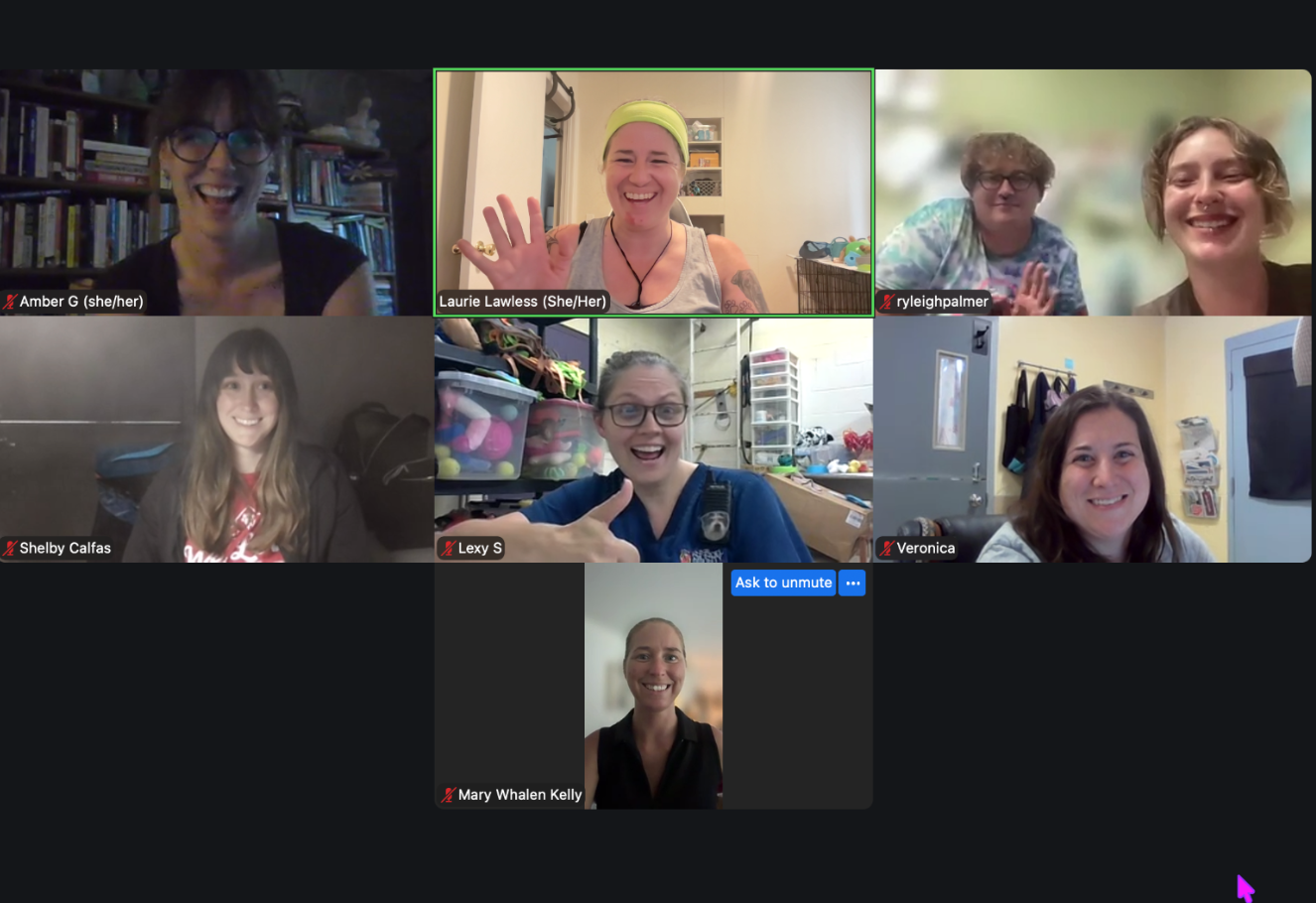 Laurie Lawless holds an online mentorship program.