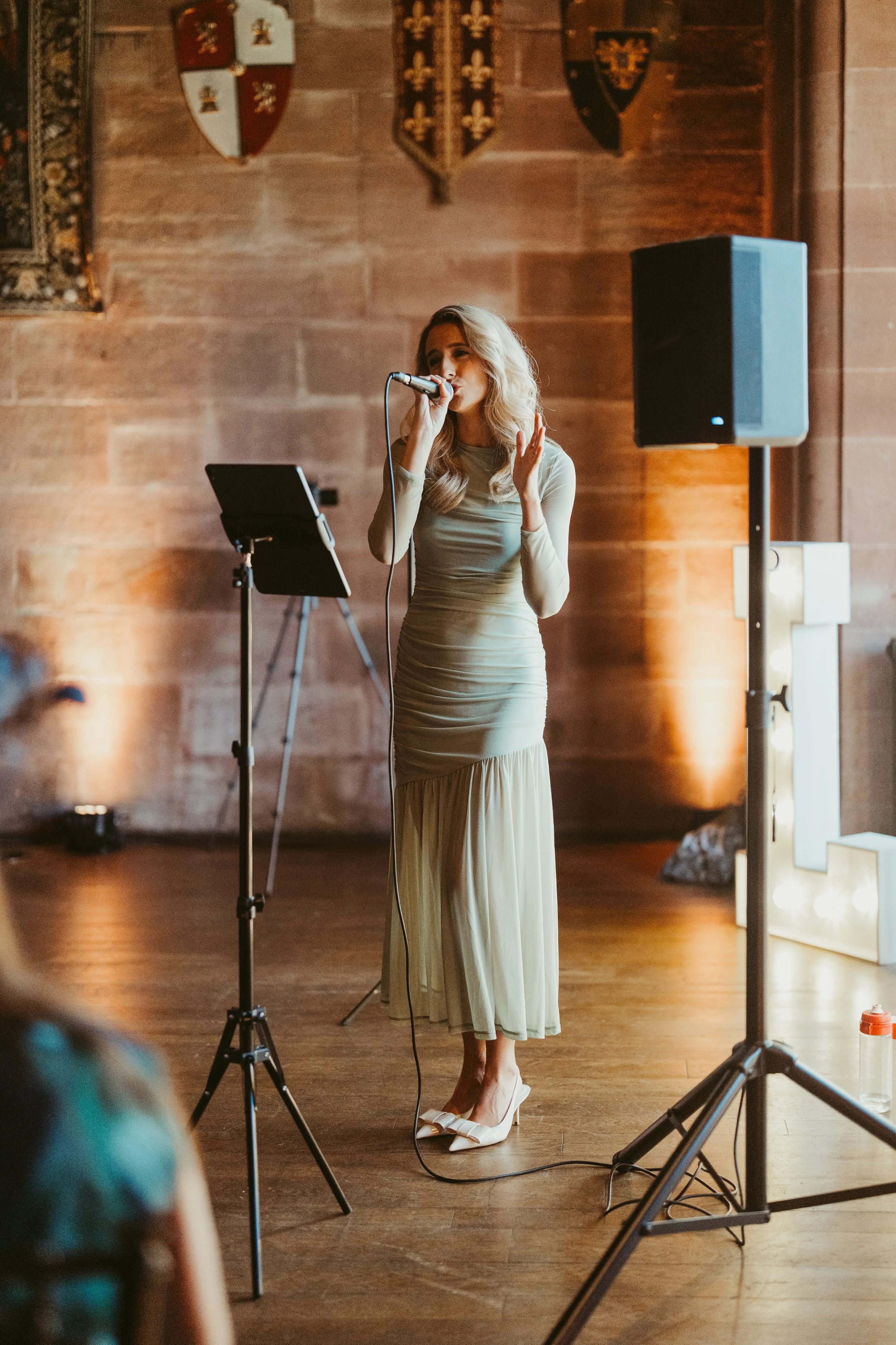 Wedding Peckforton 1.JPG