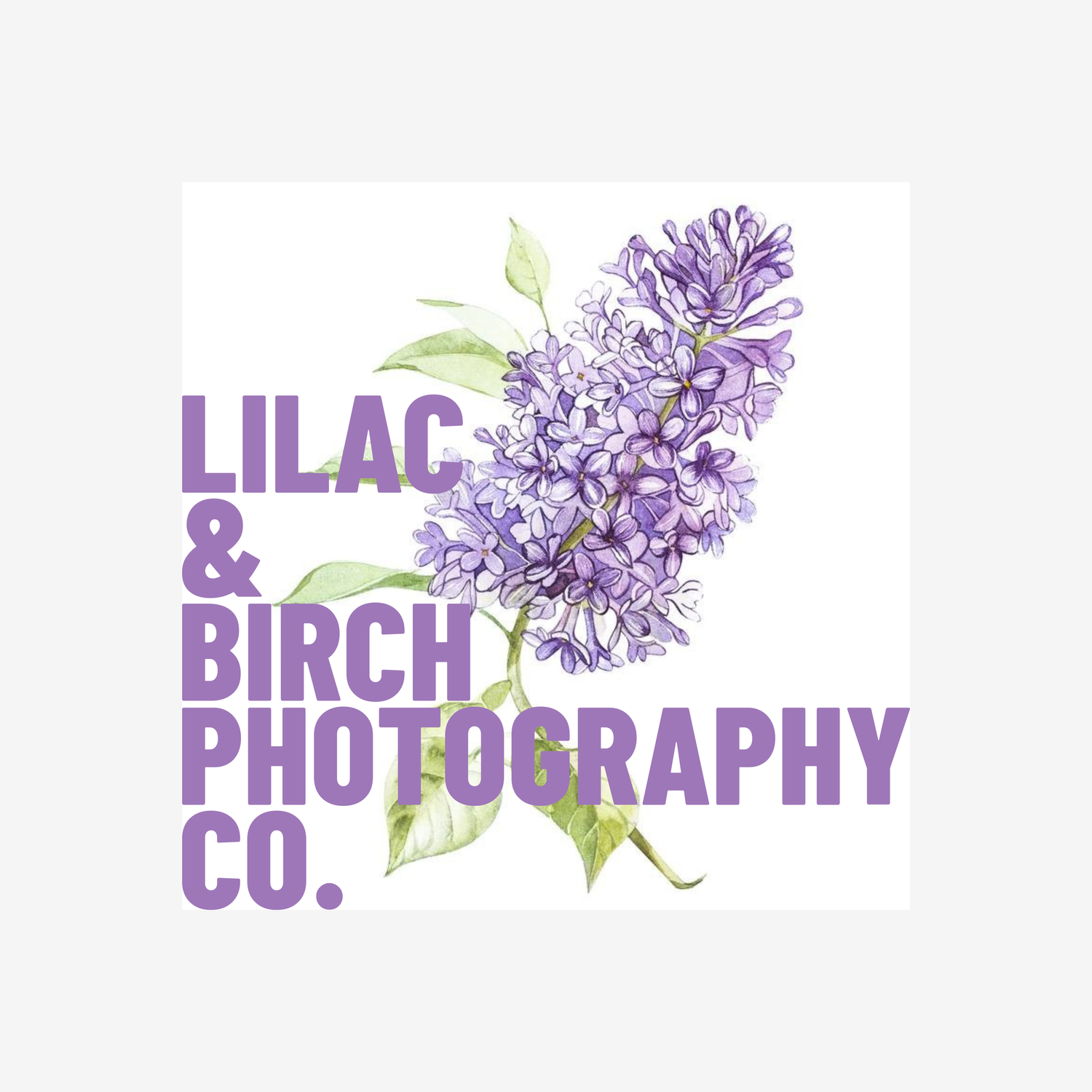 Lilac &amp; Birch Photography Co.