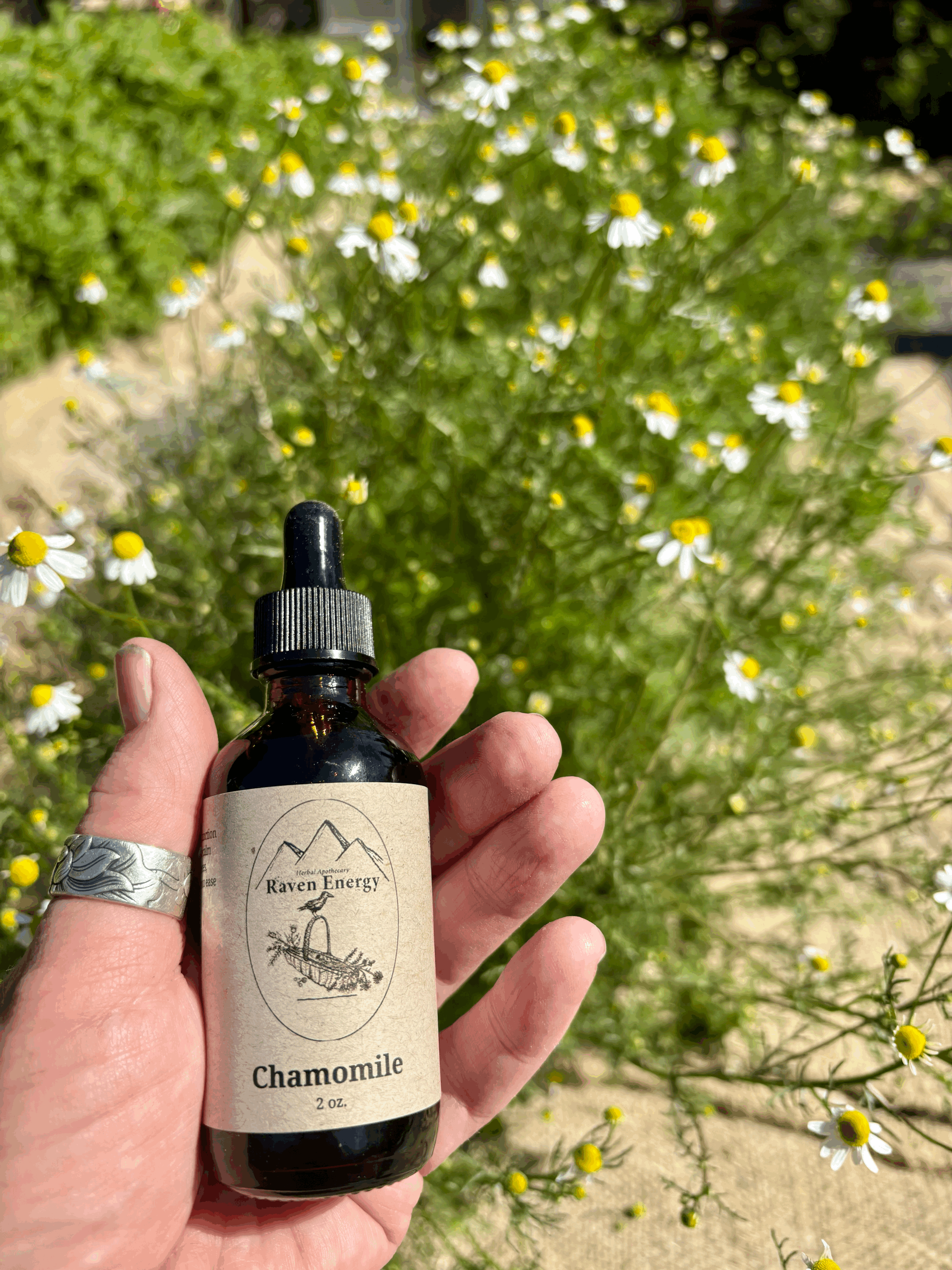 Chamomile Tincture - 2 oz.