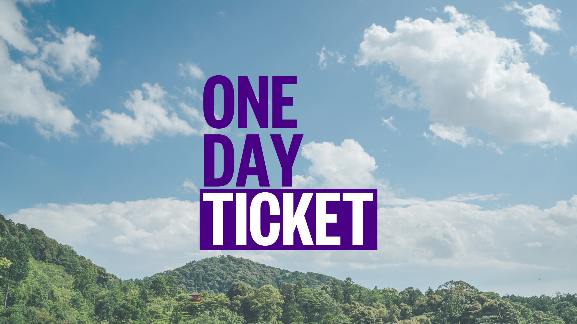 ONE DAY | Thurs 19th Jan | Conference Ticket