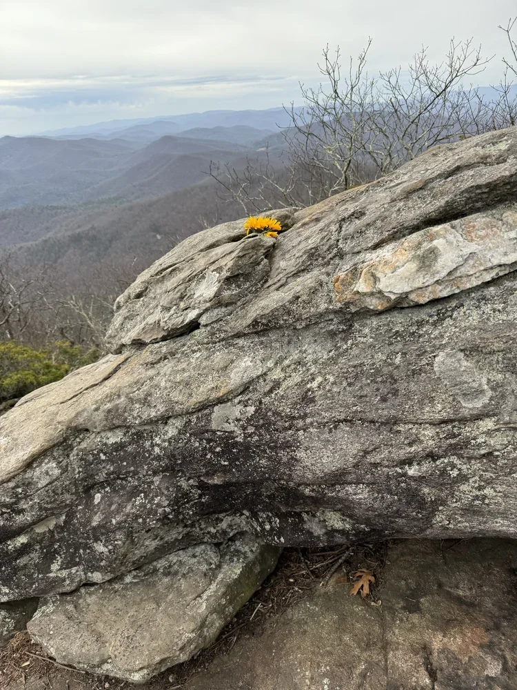 A Letter from Kate Morris