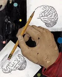 THE NEUROSCIENCE OF LEADERSHIP