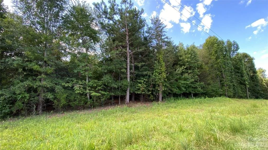 Lincolnton Home Listings, Homes For Sale, Realtor Company, Buy a Home