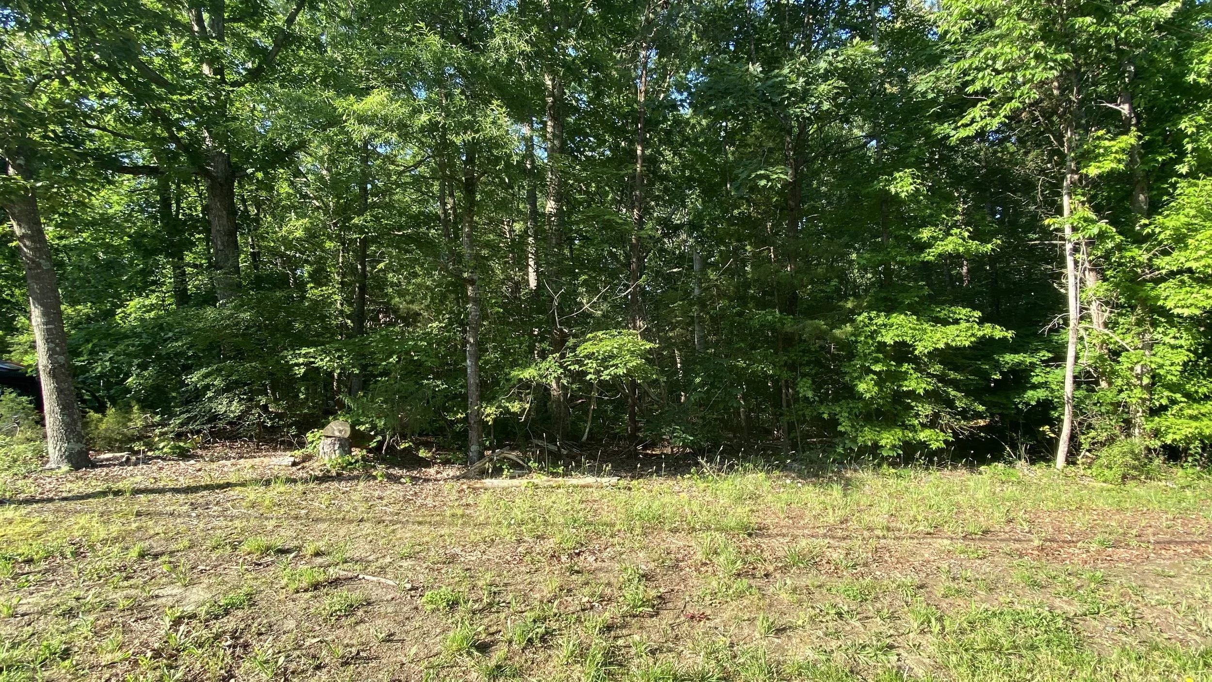 Lincolnton Home Listings, Homes For Sale, Realtor Company, Buy a Home