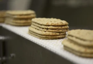Flatbread for Foodservice | Sweet and Savory Snacks | Thaw and Serve ...