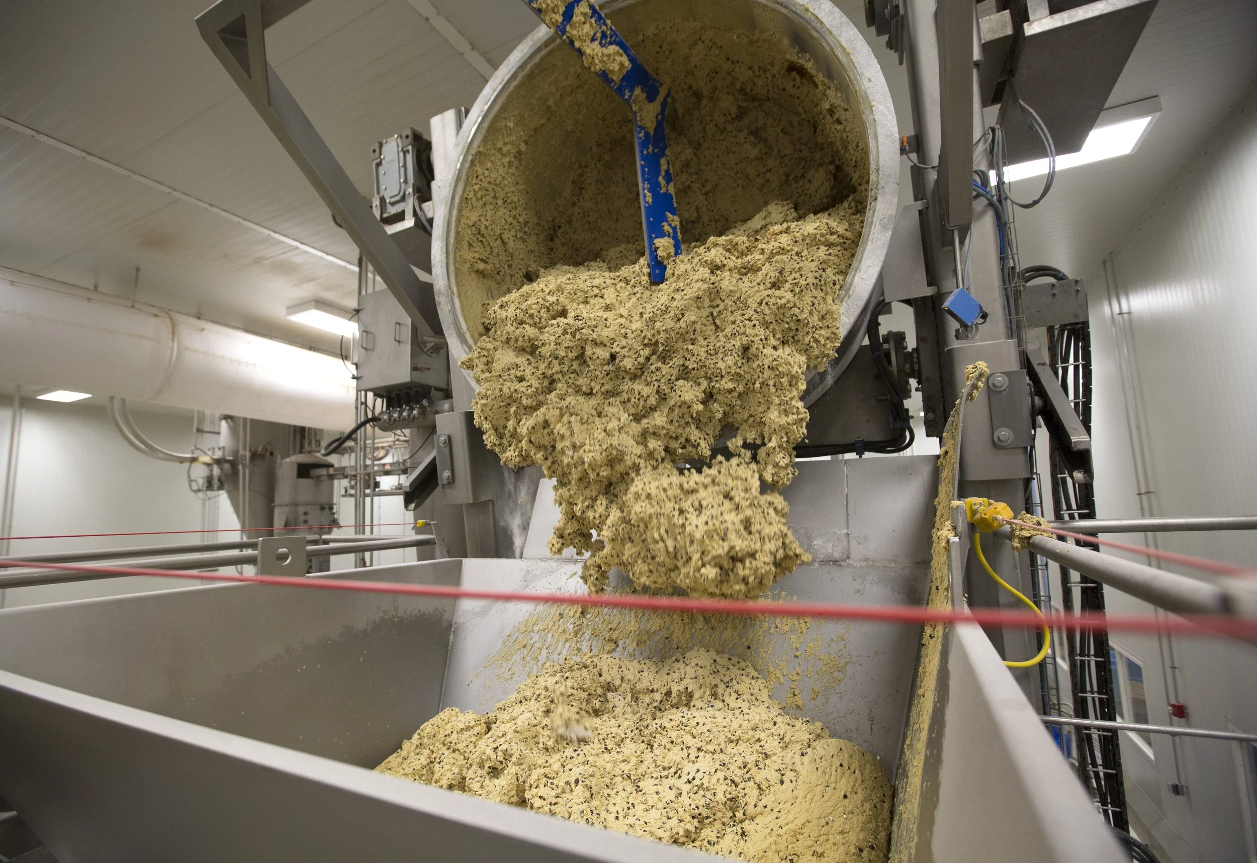 Frozen Cookie Dough Bulk Cookie Dough