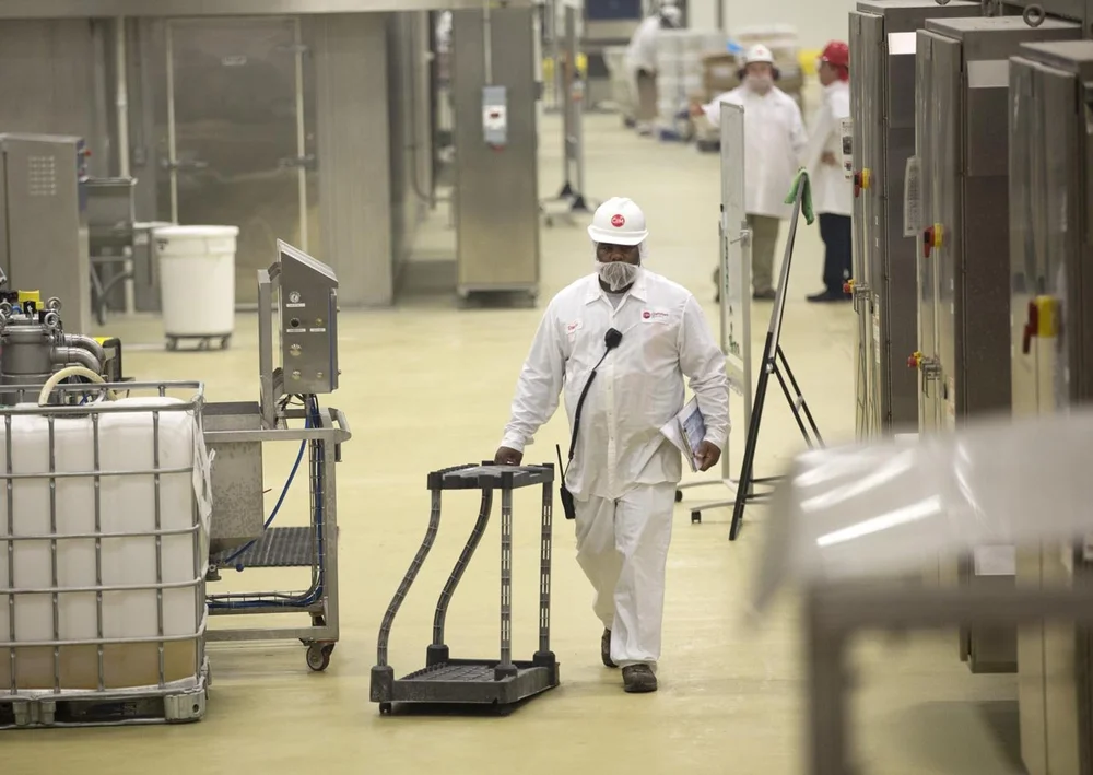 Bakery Hiring Near Me Attracting Talented Bakers and Pastry Artists