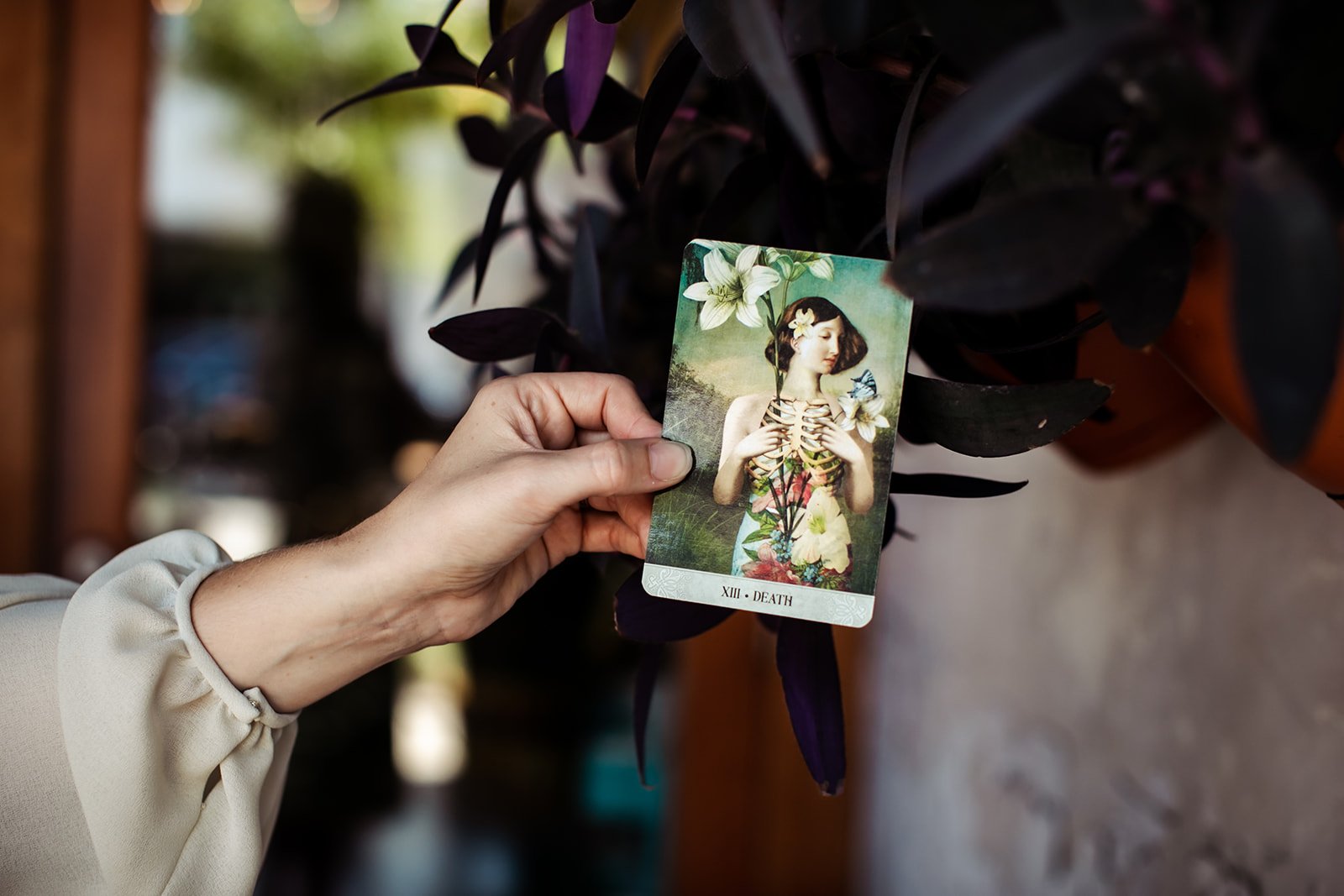 A person holding a tarot card labeled 'XIII Death' in front of dark purple foliage. The card features an artistic depiction of a young woman with floral and skeleton motifs, a butterfly, and flowers in her hair.