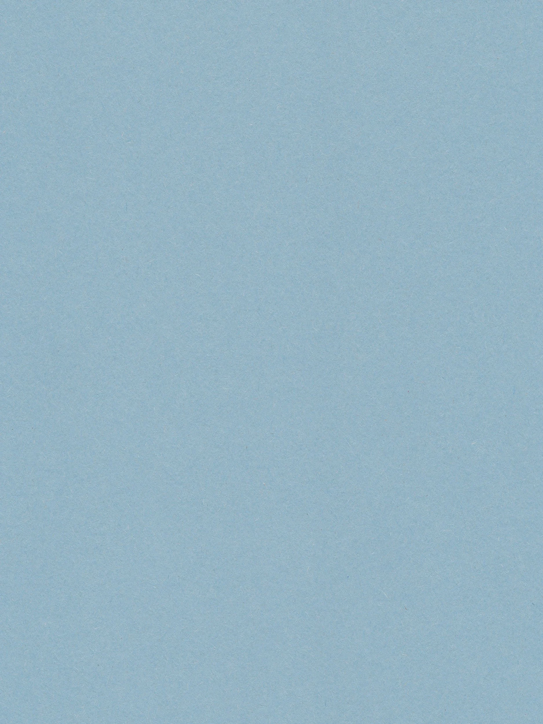 A plain, solid light blue background.