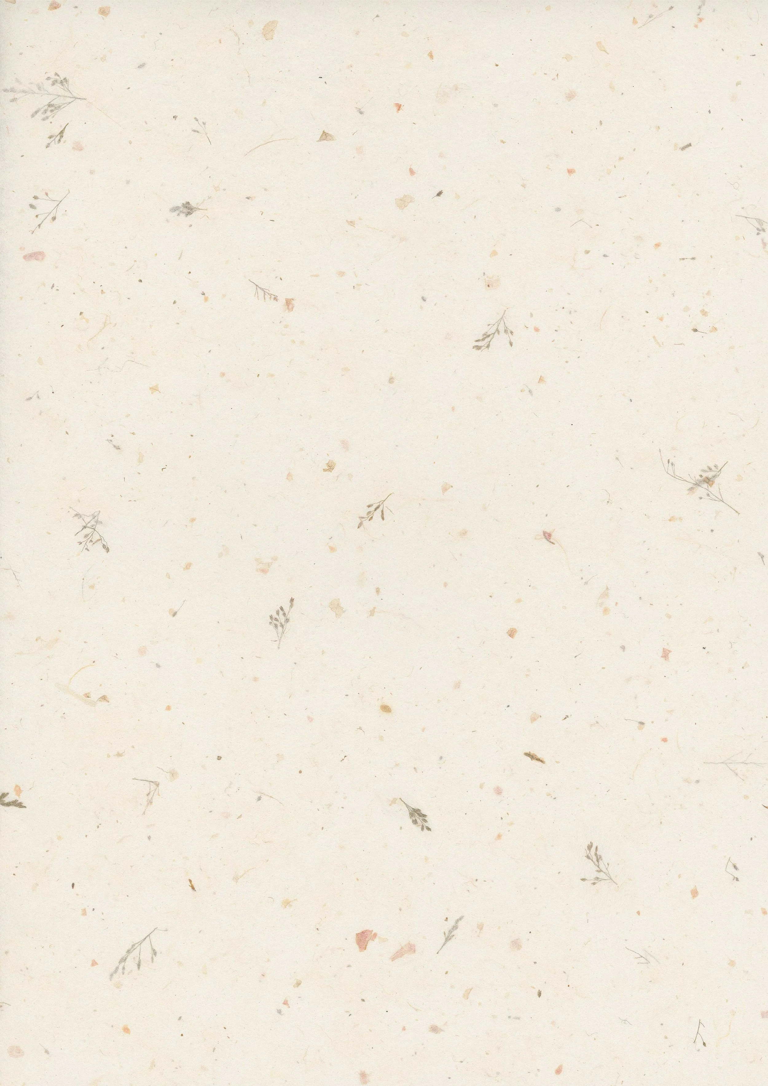 A blank sheet of paper with scattered small leaves and plant fragments.