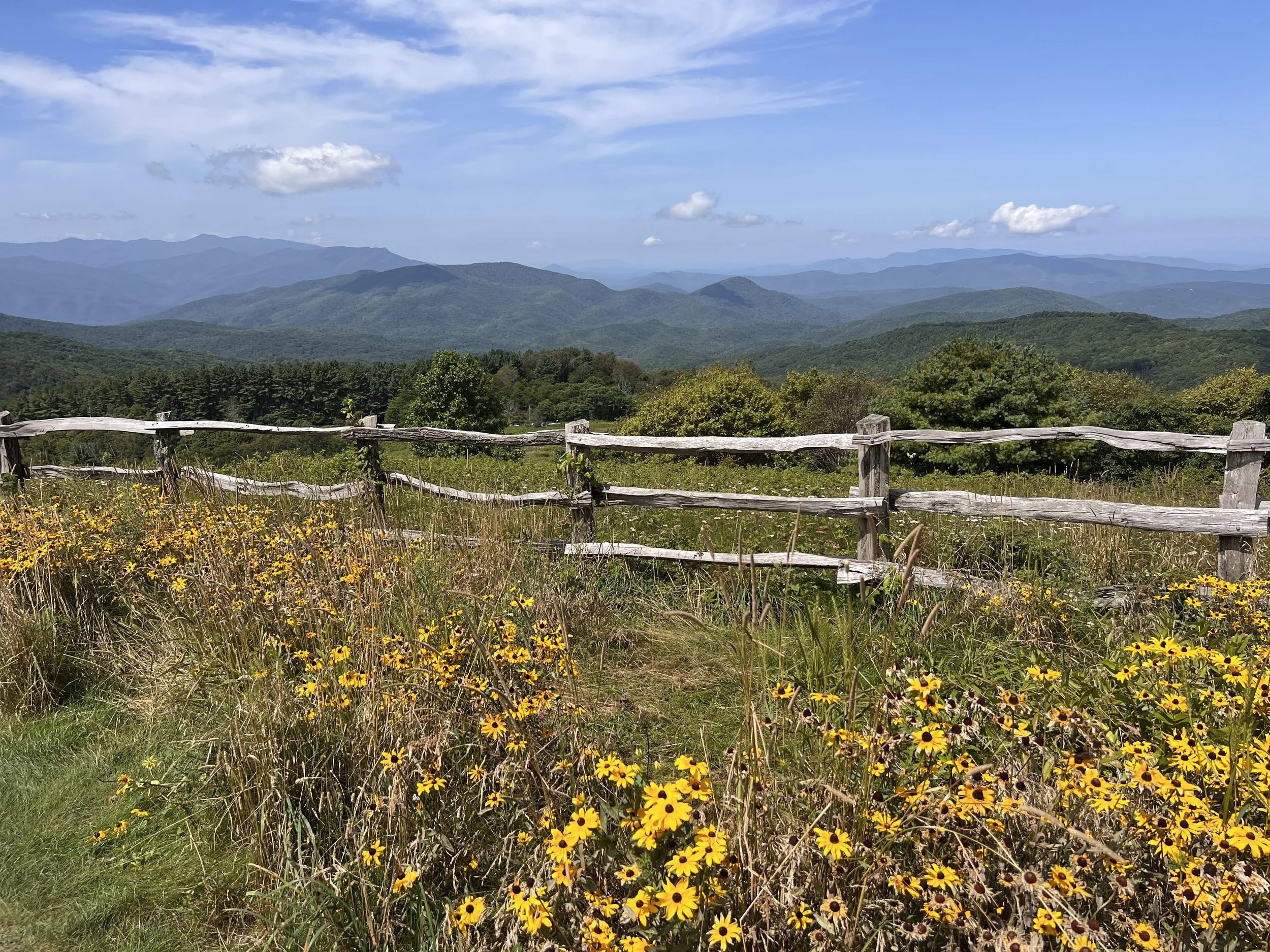 Mountain landscape with green rolling hills, a wooden fence in the foreground, yellow flowers, and a blue sky with scattered clouds.