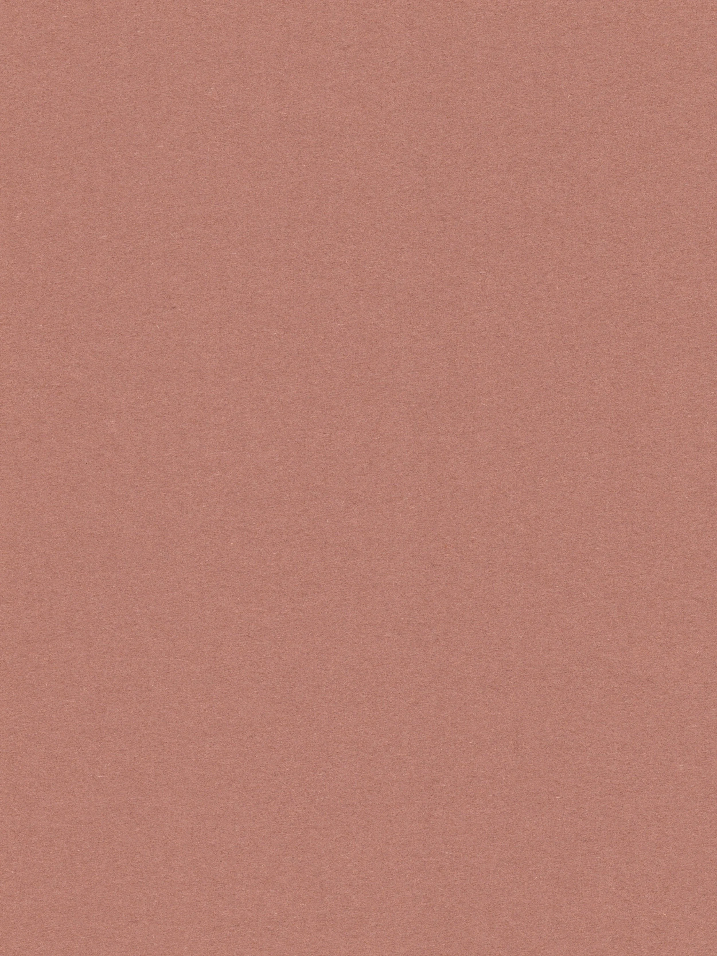 Solid pink background with no objects or text