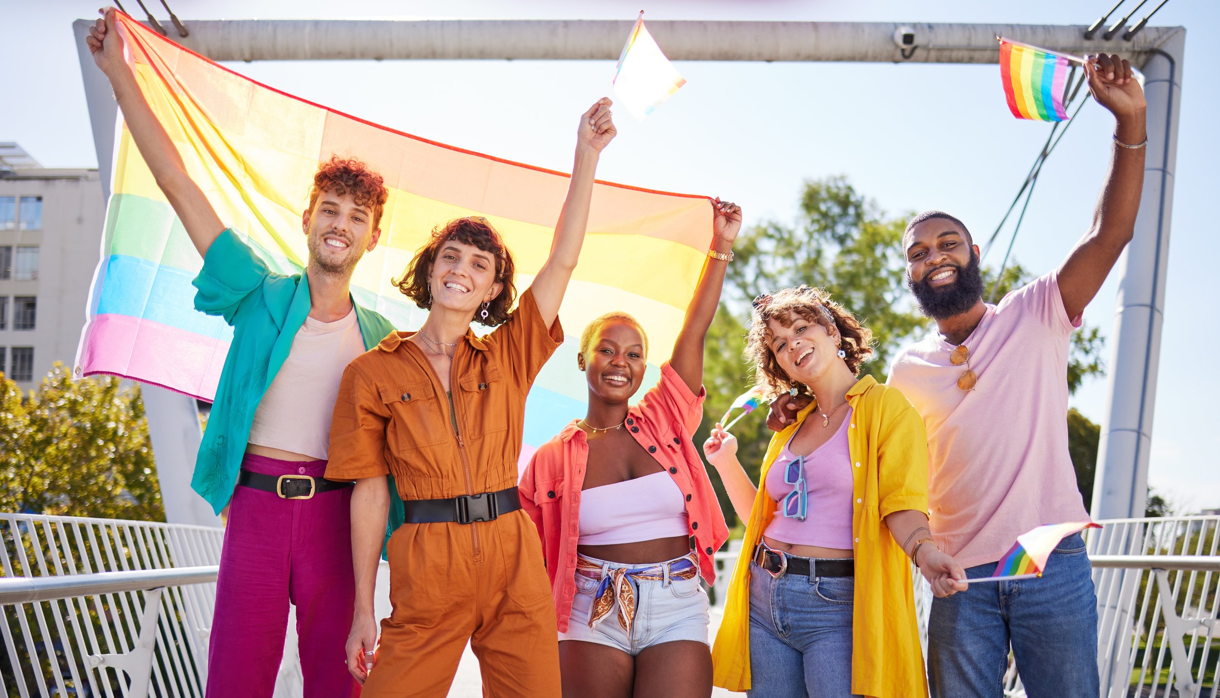 Why did the LGBTQ community choose the rainbow flag?