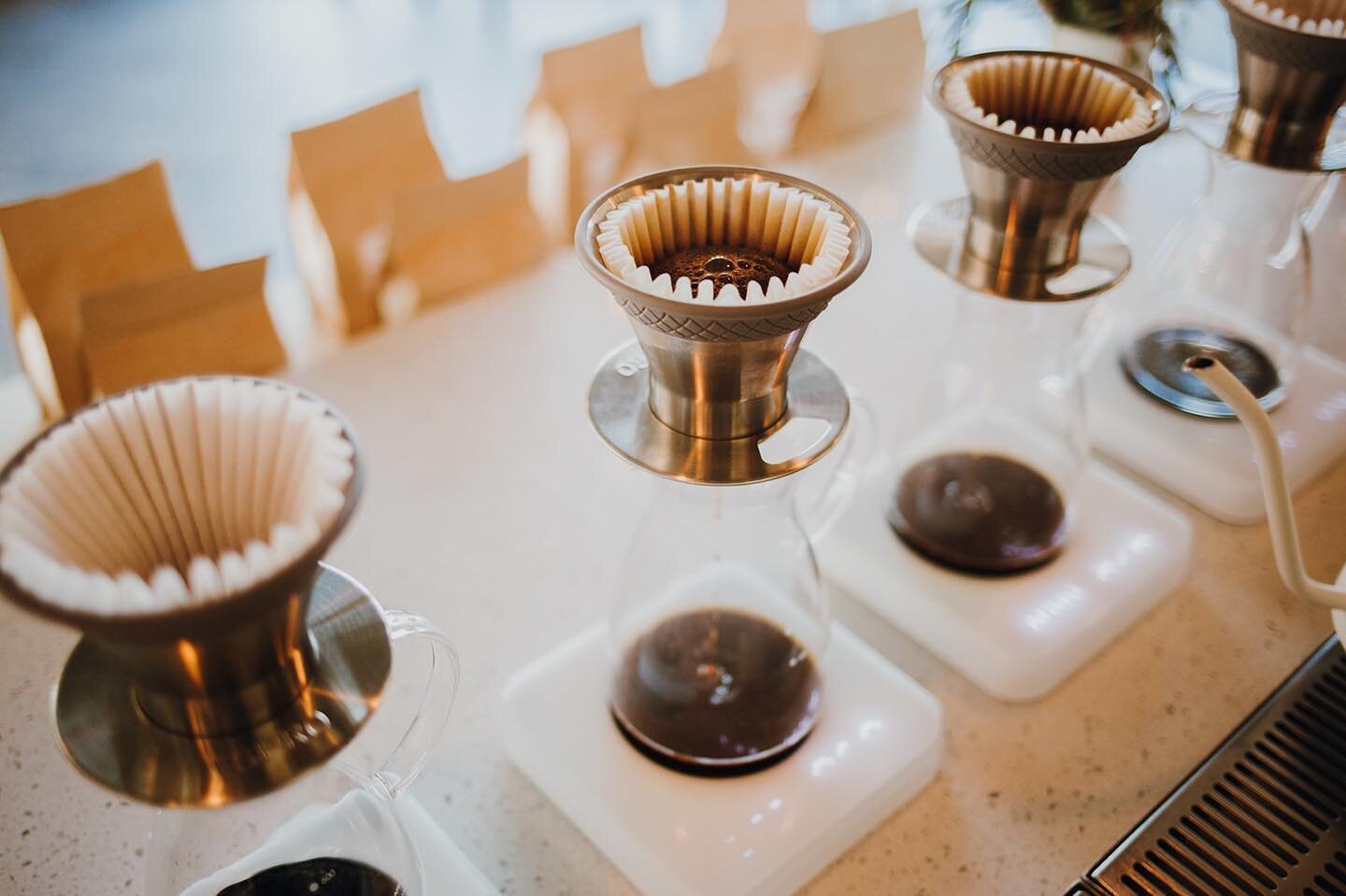 The Bloom ~ Where all the magic happens ⁠
⁠
Why is it our favorite part of the pourover coffee process? ⁠
✨ It's the first pour of water &amp; most important⁠
✨ The flavor is enhanced because the bloom allows the coffee to aerate and release gases th