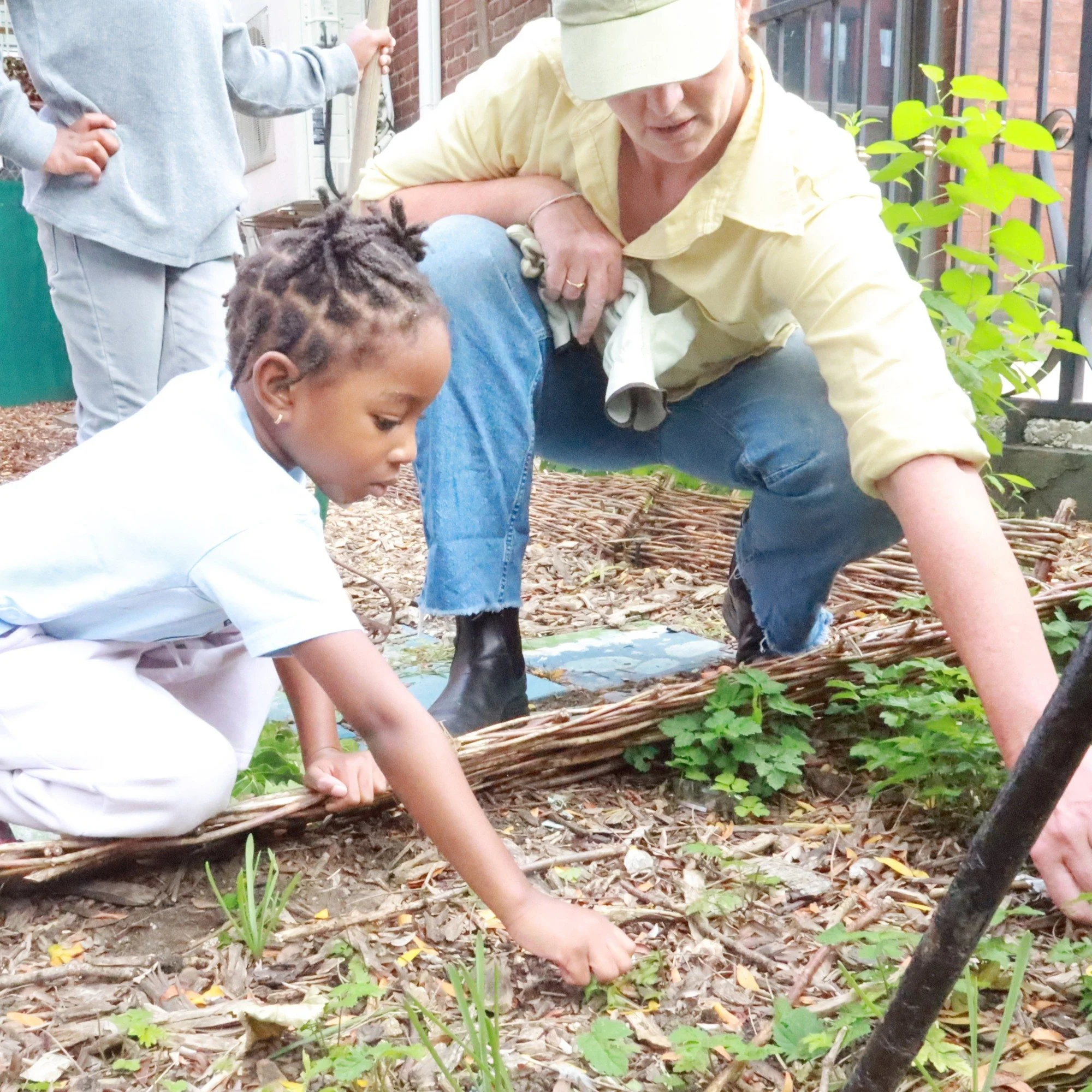 Our garden committee is in full swing with a mulch delivery and putting in donated native plants last week, helping prepare the garden for the coming cooler weather and eventual Spring. Thank you to all of the parents and students who help keep our g