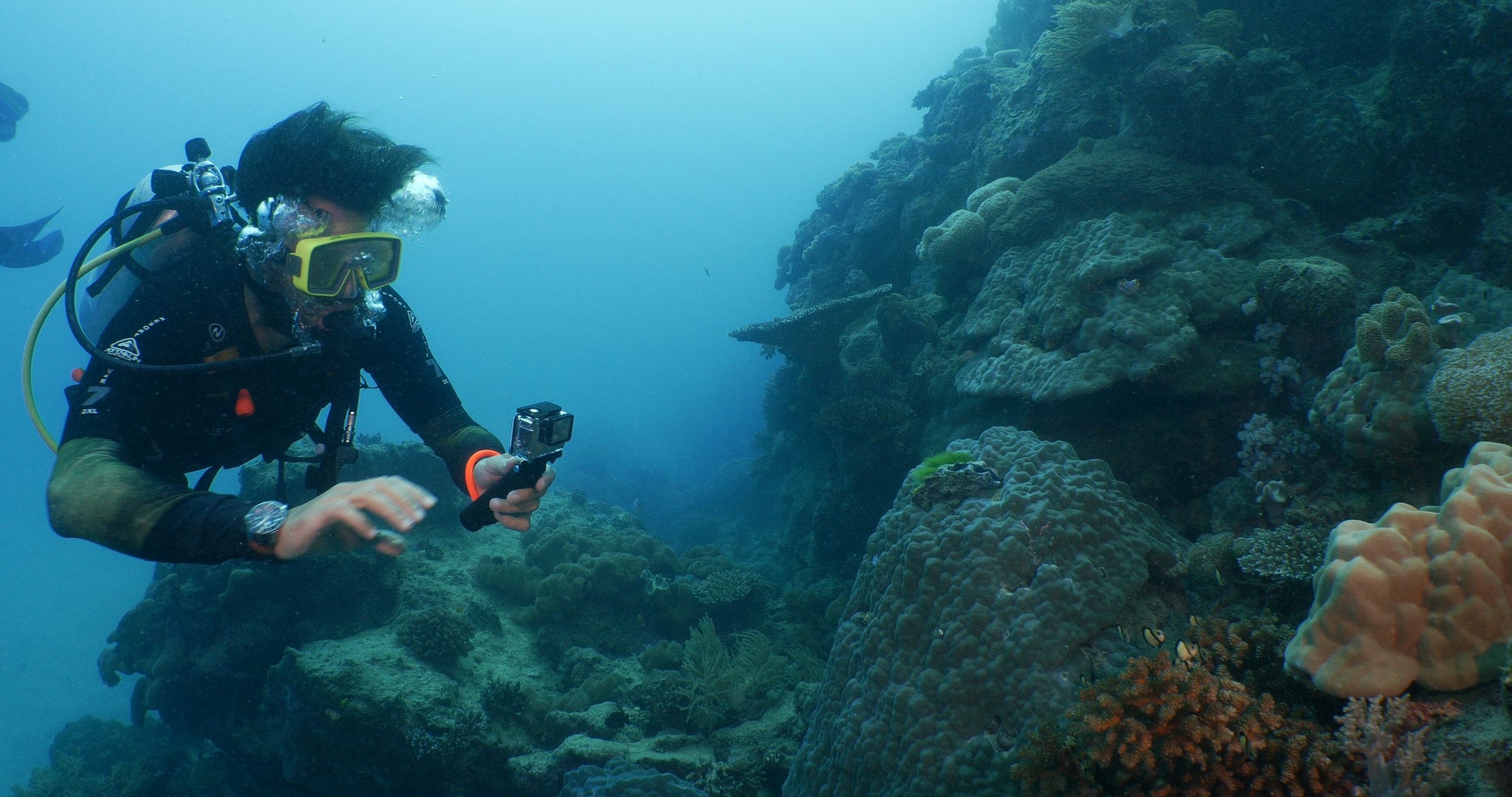 How to Stick to Your Goals Like an Explorer