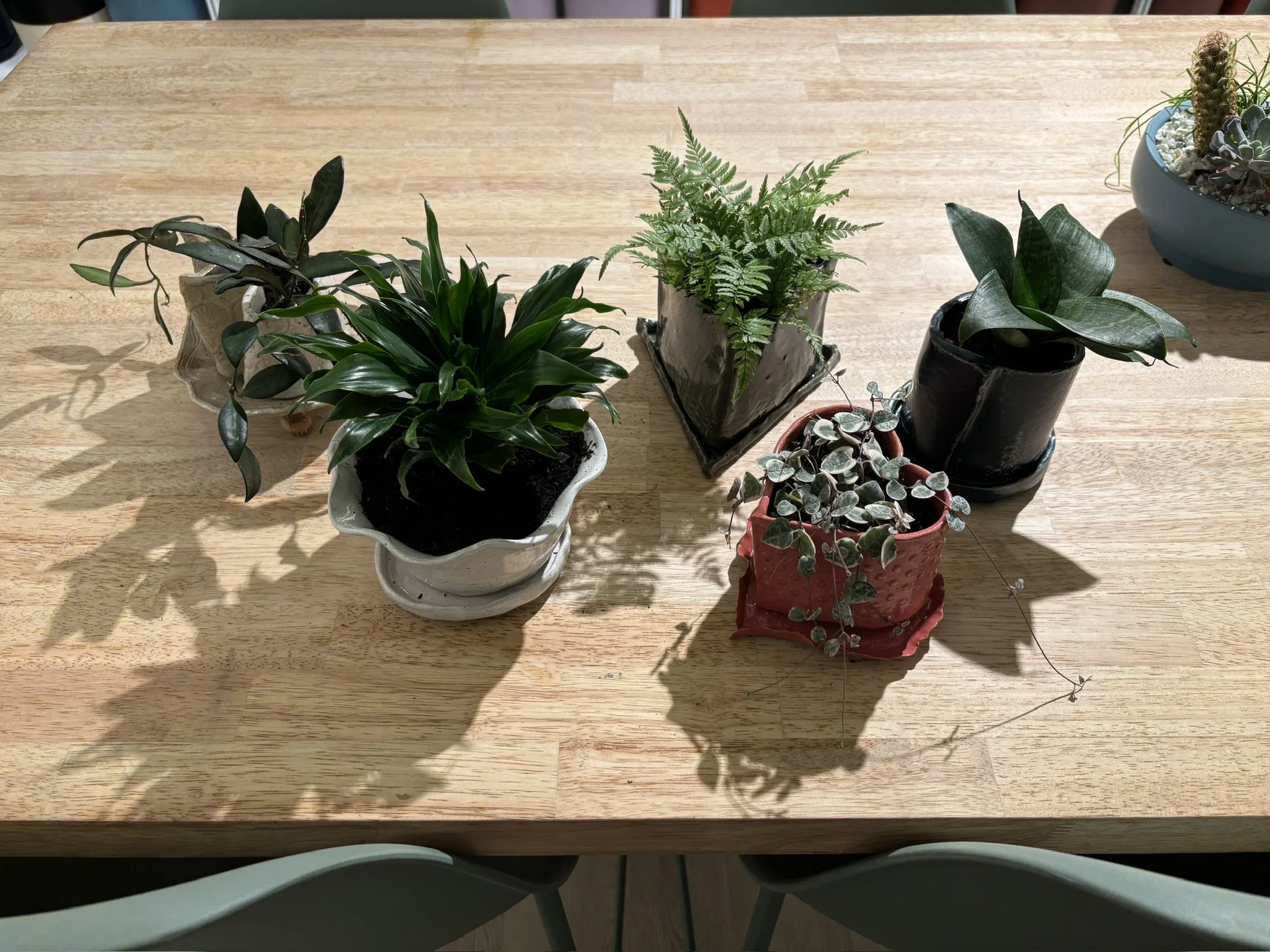 THROW x VINE: 'TRY IT' TWO SESSION LEAF IMPRESSION PLANTER/PLANT WORKSHOP:  MONDAY MARCH 30TH & MONDAY APRIL 20th, 6-8PM