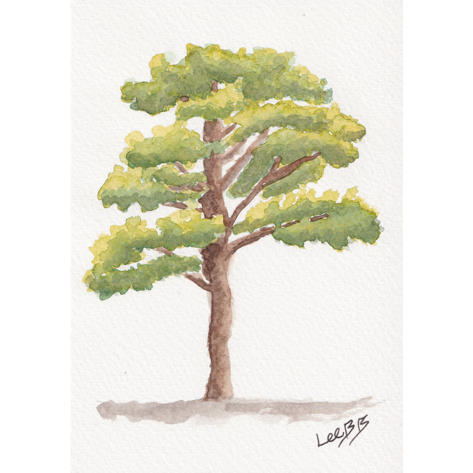 Tree Collection #1 - Set of 4 (Original) - SOLD