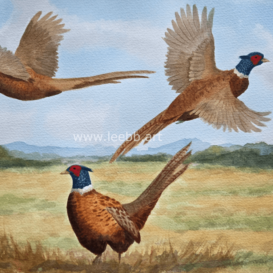 Pheasant’s Field Alarm: A Moment of Instinct in the English Countryside