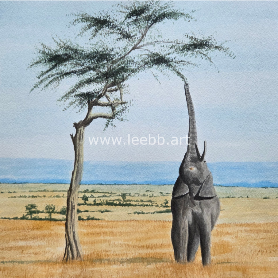 Savannah Elephant: Recreating a Cherished Memory Through Watercolour