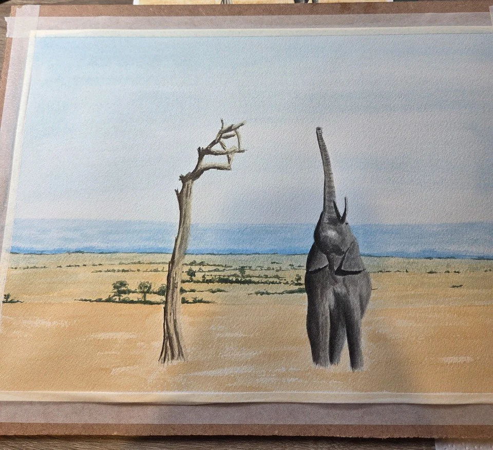 Savanah Elephant in progress 3.jpg